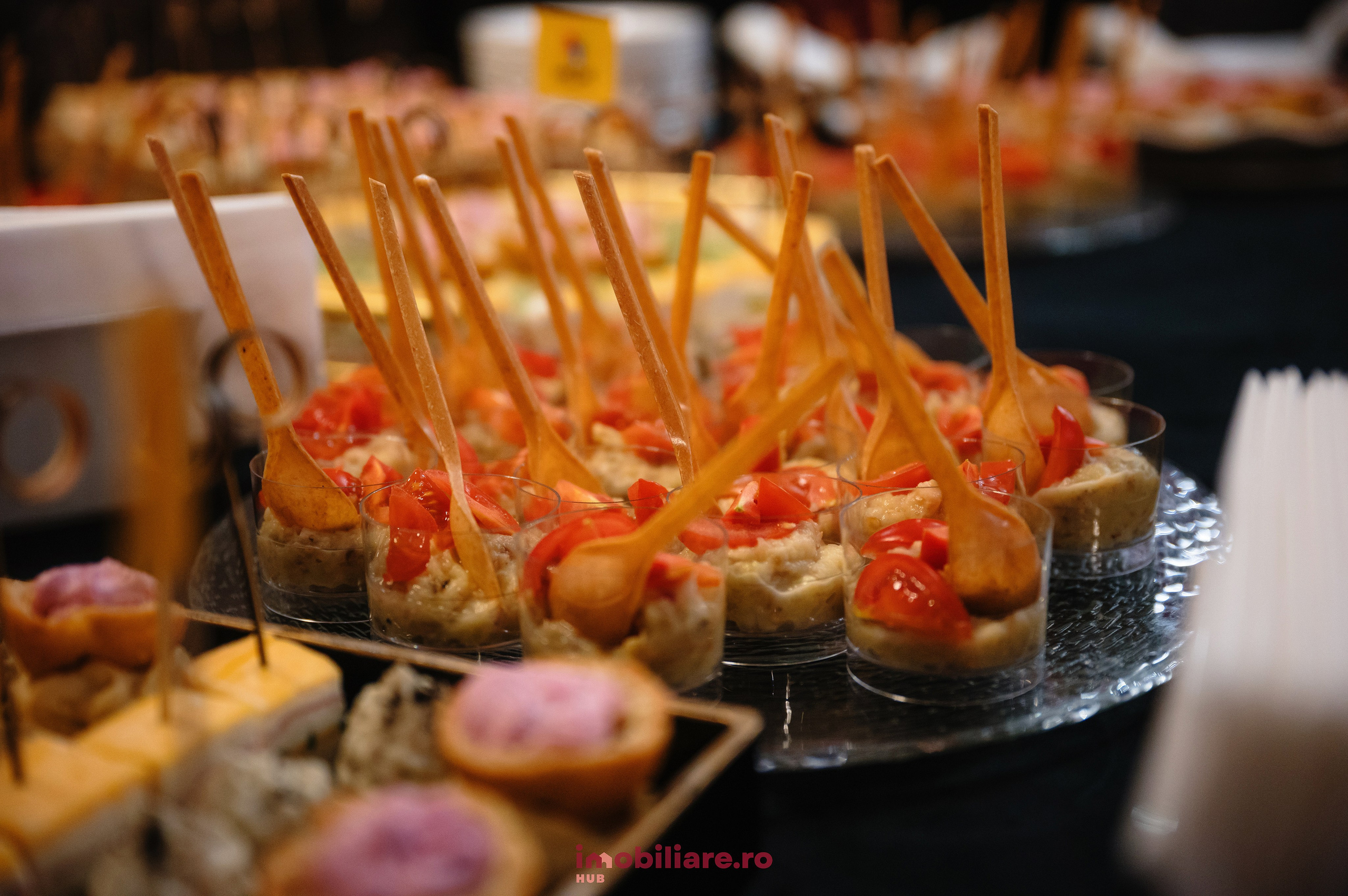 Imobliare HUB. Laurentiu Stefan StoryTeller