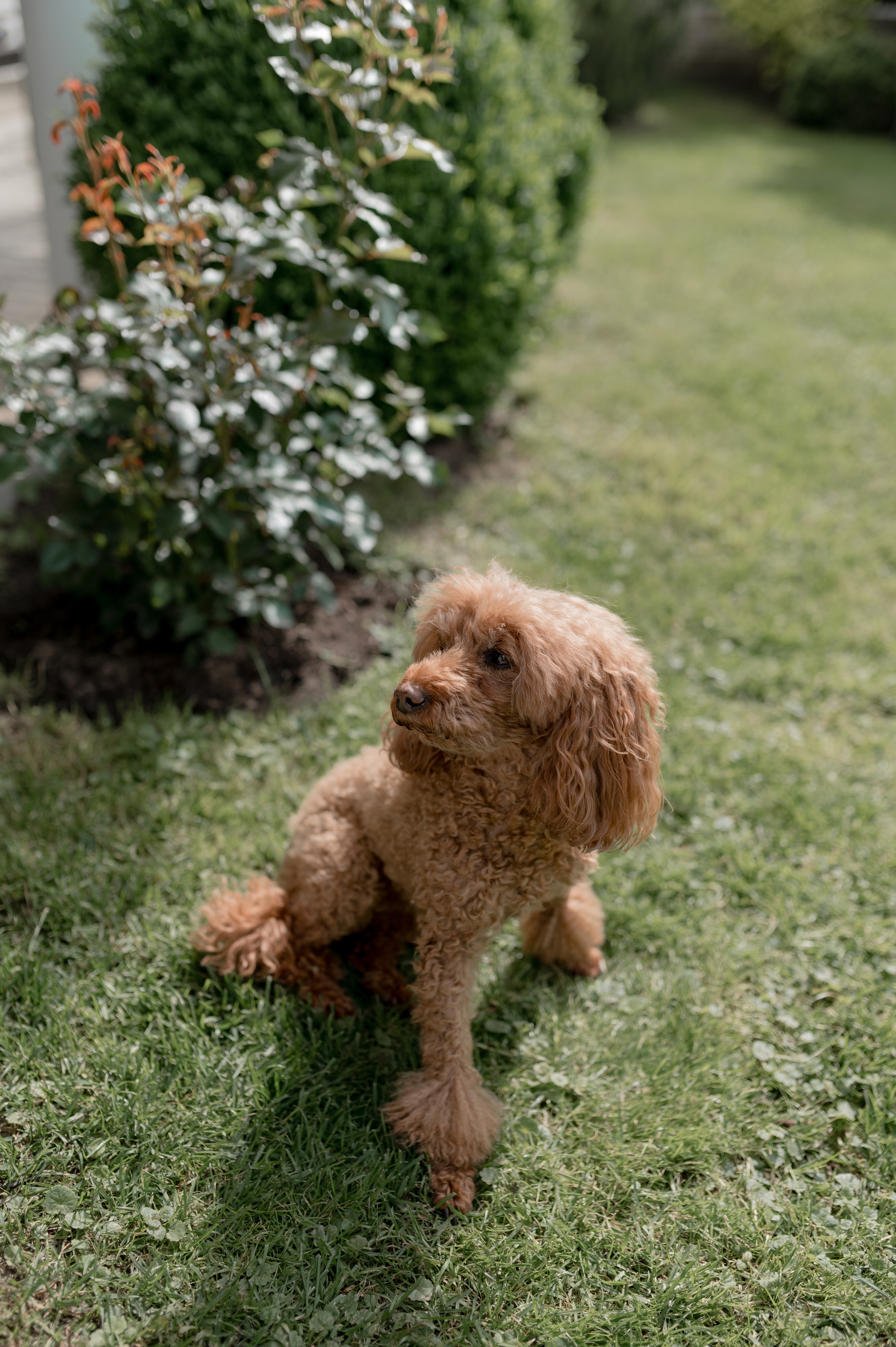 Dmitriy and Olga, 2021. Wedding photographer in Wroclaw Warsaw Krakow Margarita Tuleiko