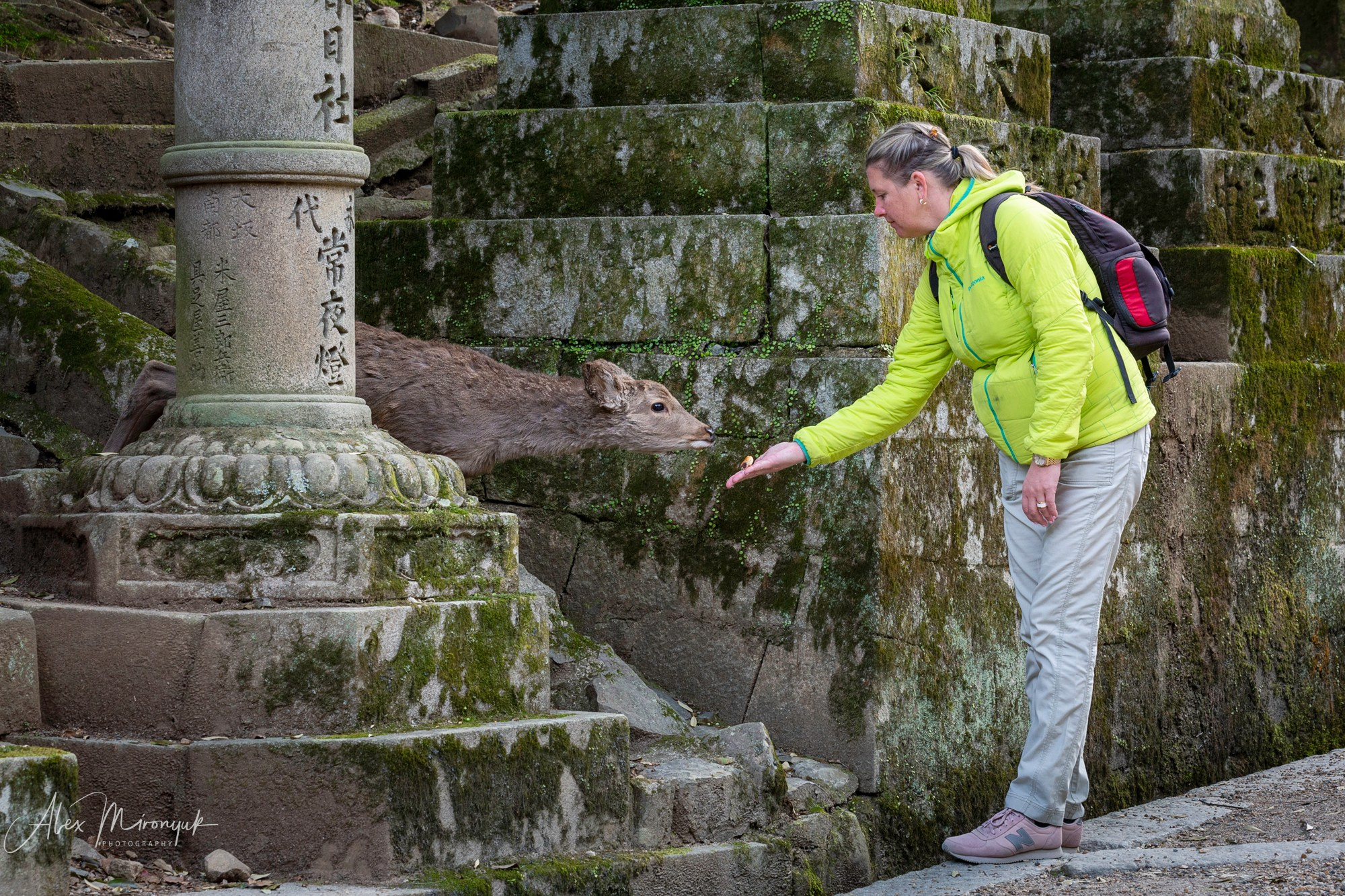 Hanami Season in Japan. Pet, Senior, Landscape, portrait studio, photographer in Miami and Sou