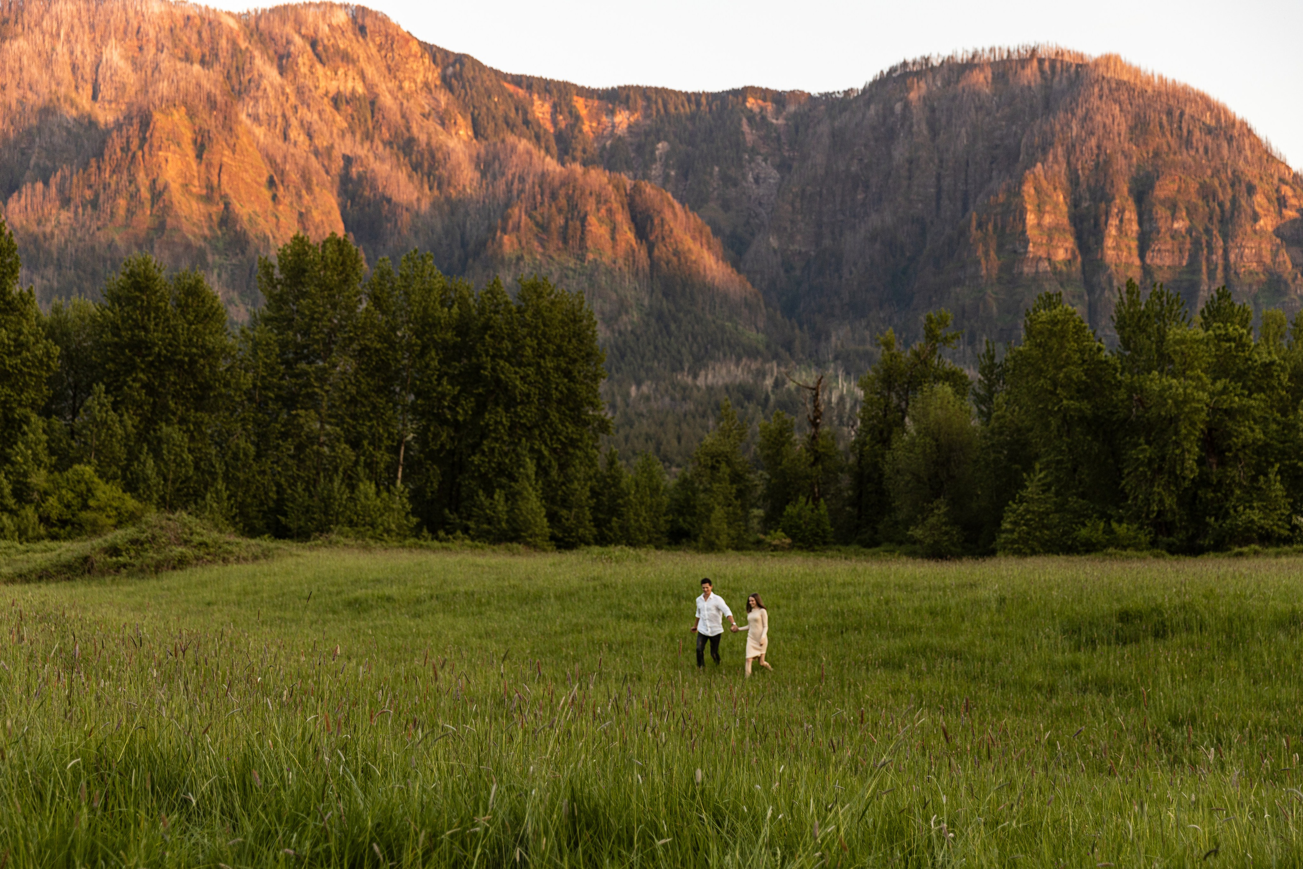 V | A. Family and Wedding photographer