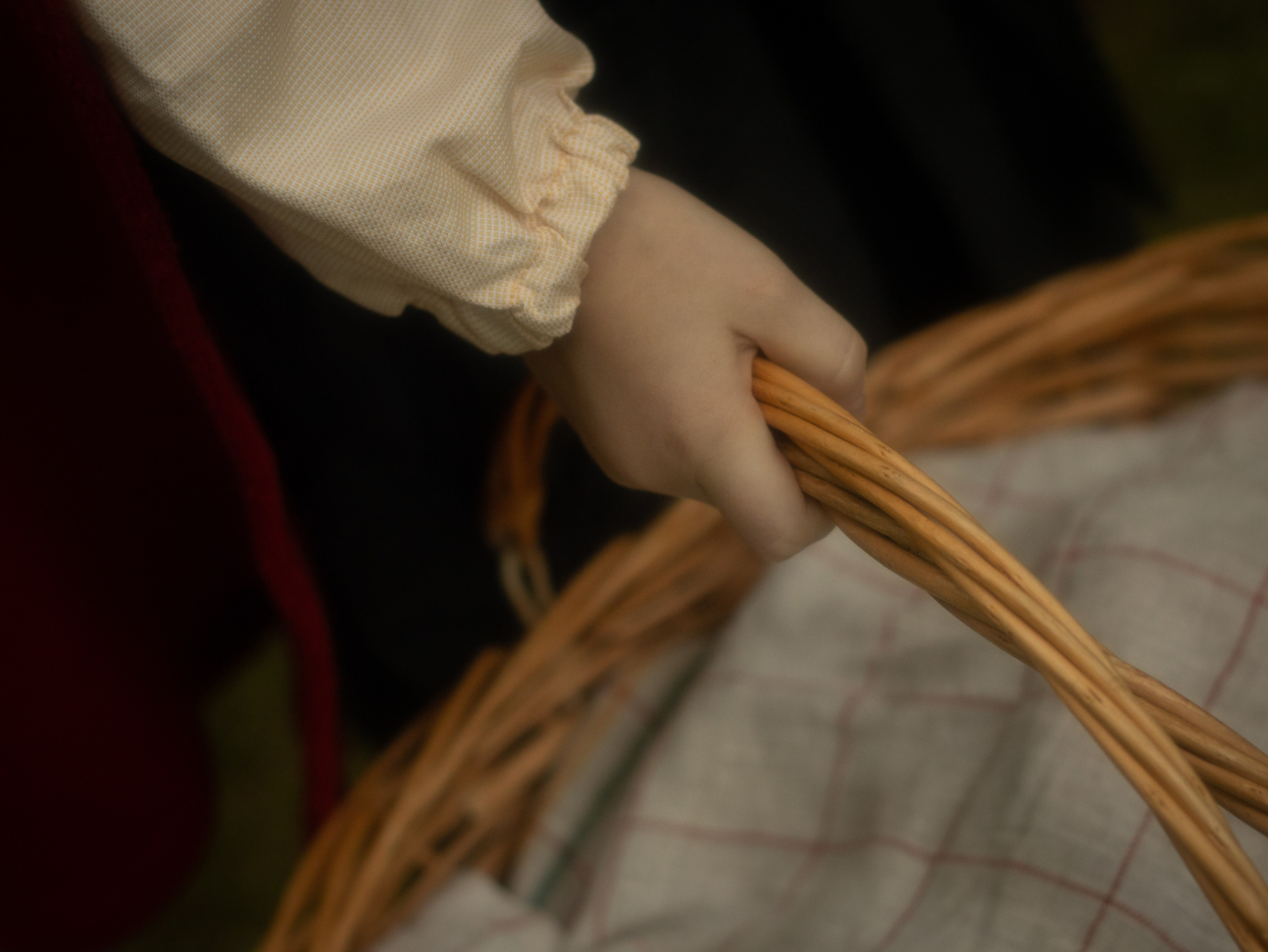 New Little Red Riding Hood. Toronto Portrait Photographer Lena Lac