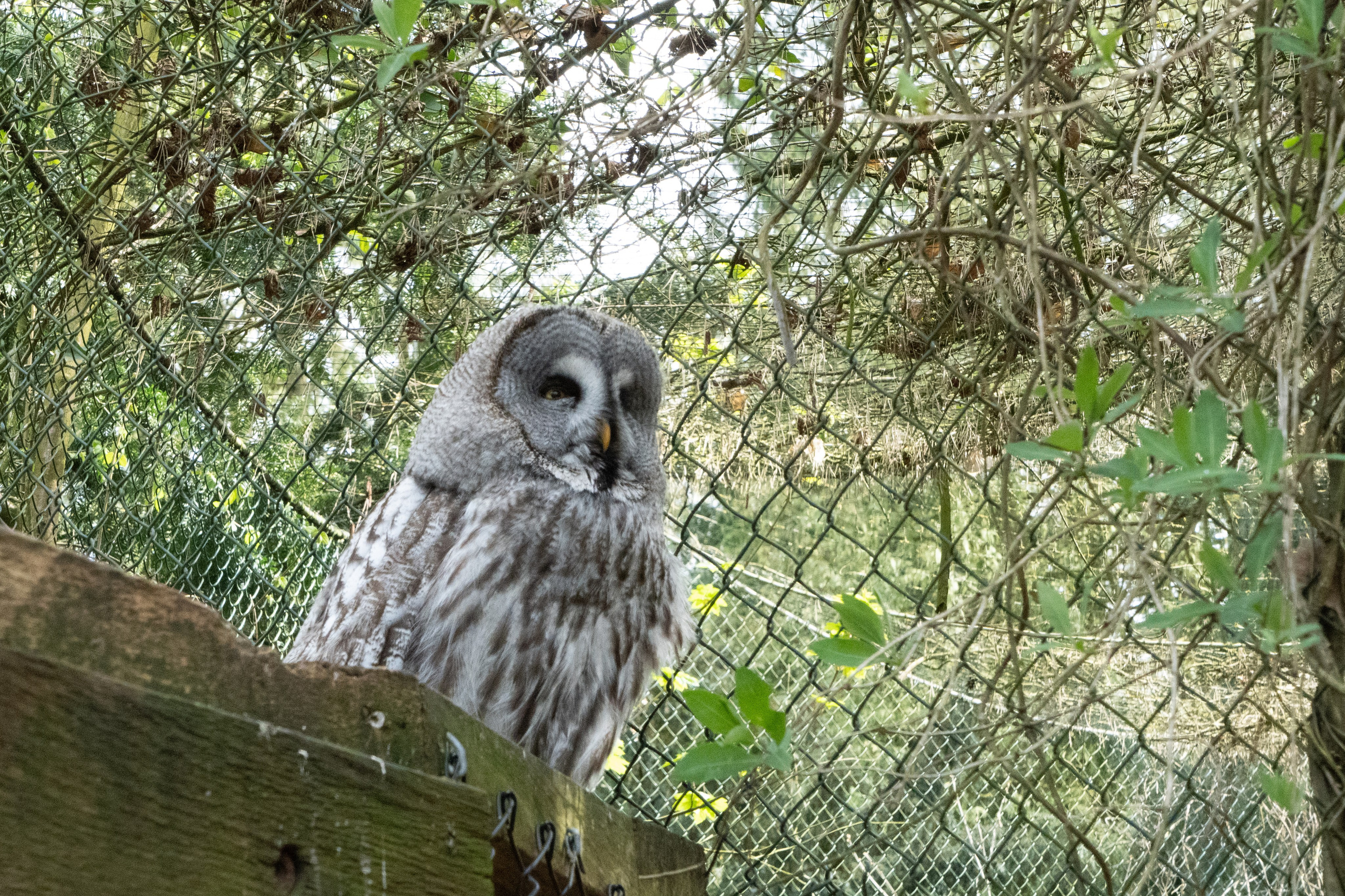 Tierwelt. Bürgerreporter & Amateurfotograf in Hannover