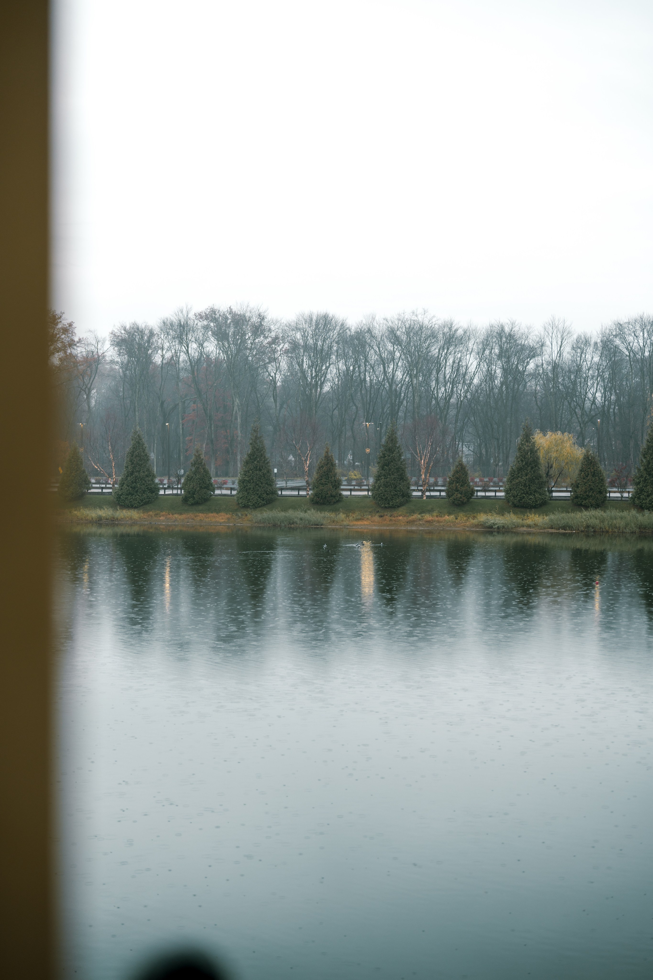 Sarah and Bhavin. Anna Krasnova Wedding photographer