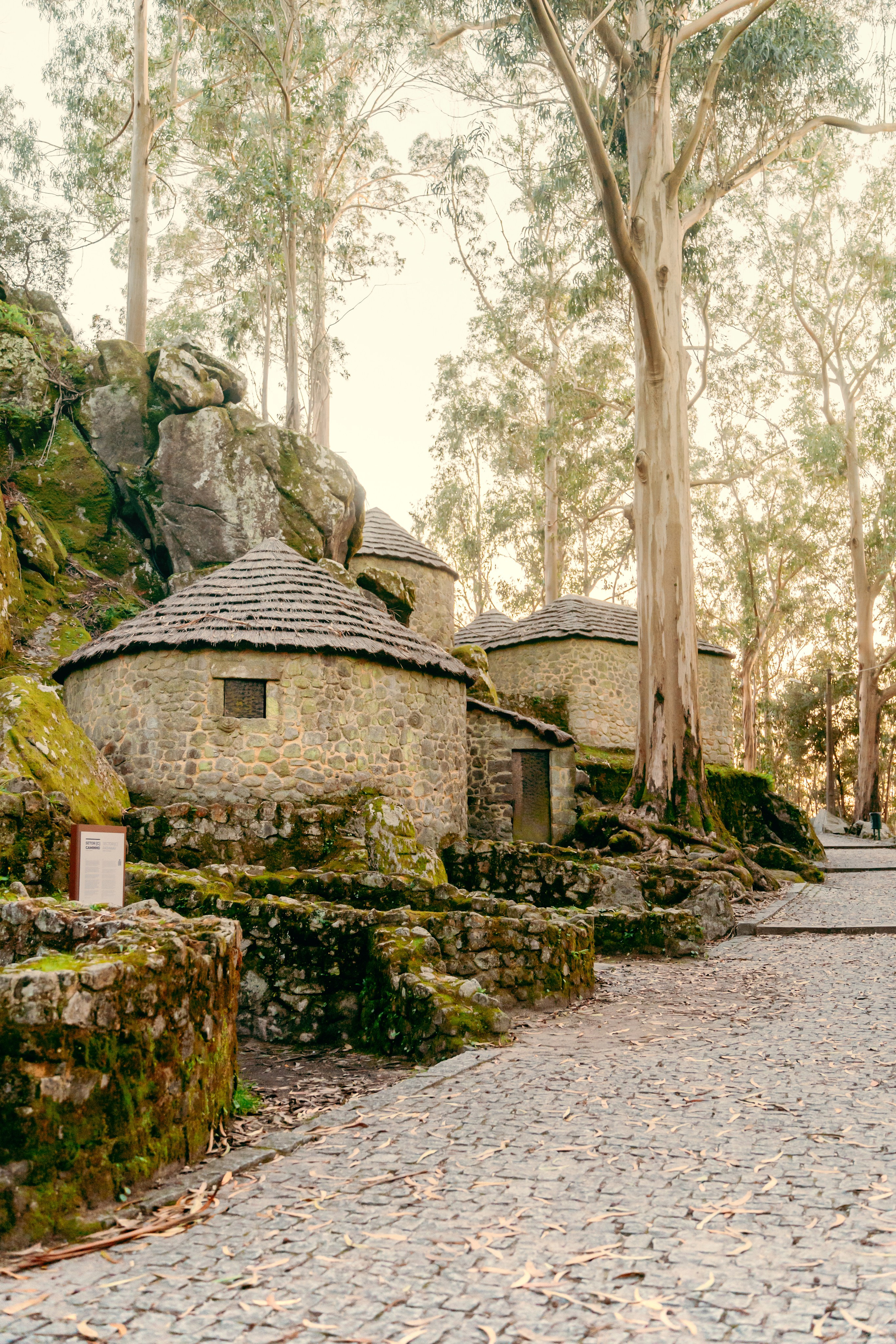 Сокровища Минью: Понти-ди-Лиму и Виана-ду-Каштелу