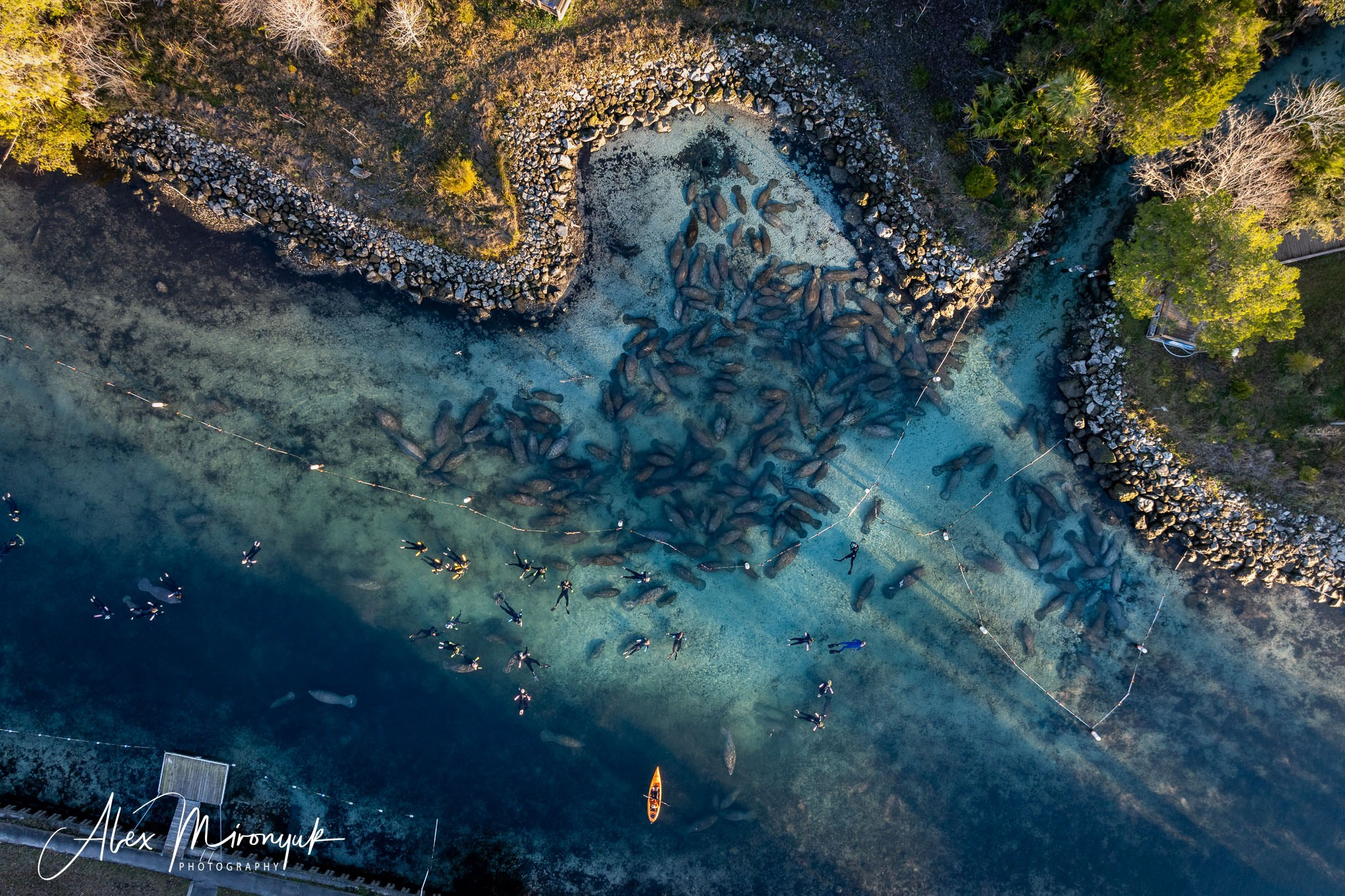 Exploring True Florida: Springs, Rivers & Manatees by Canoe. Pet, Senior, Landscape, portrait studio, photographer in Miami and Sou