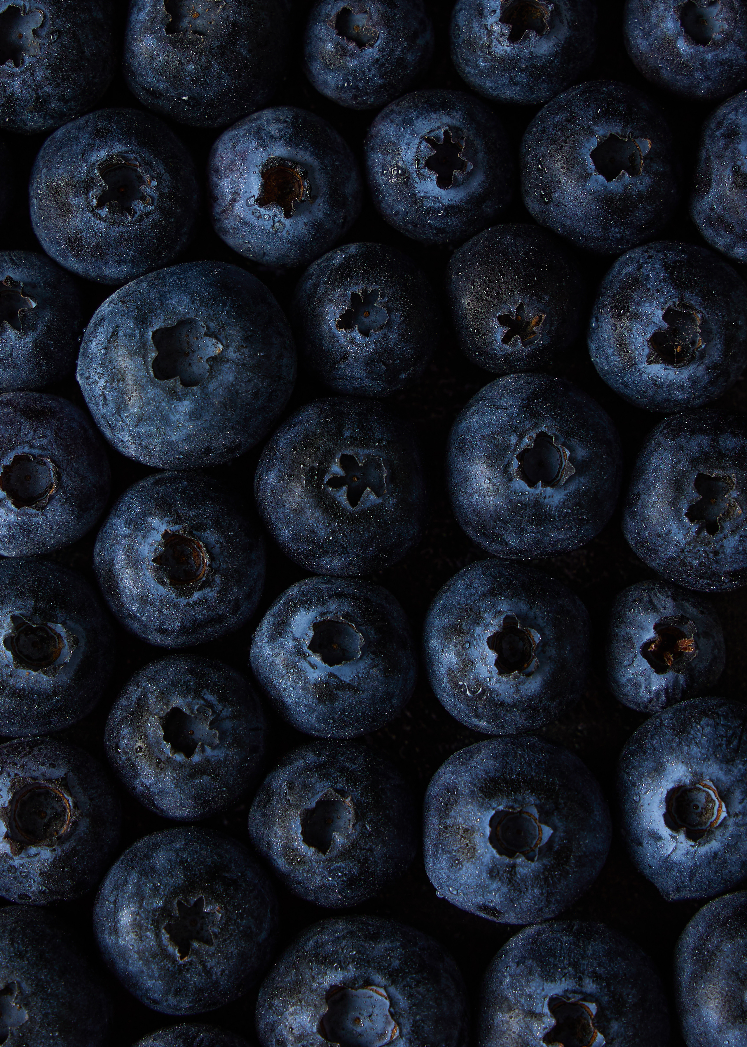 blueberries studio food photography