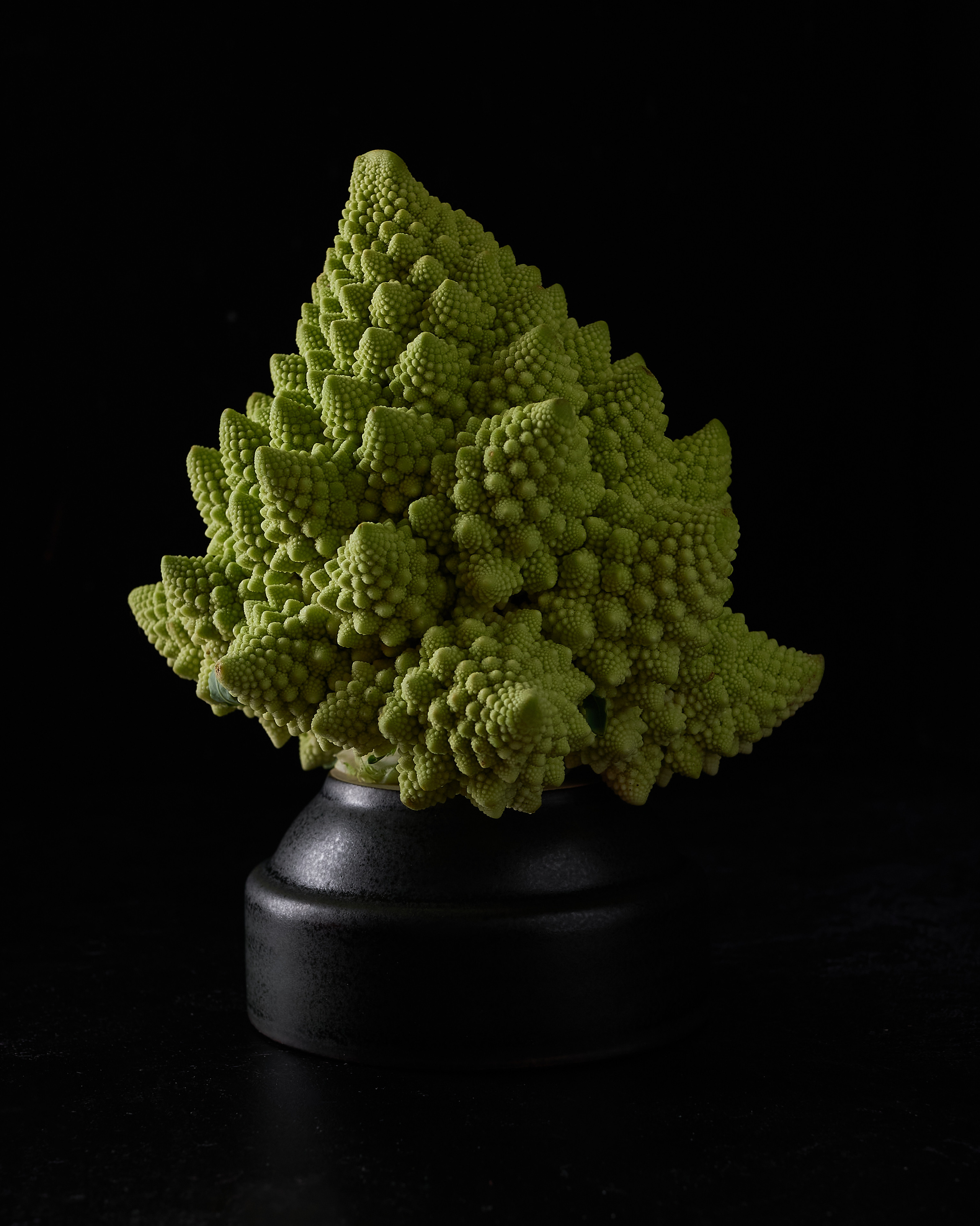 romanesco cauliflower in dark 