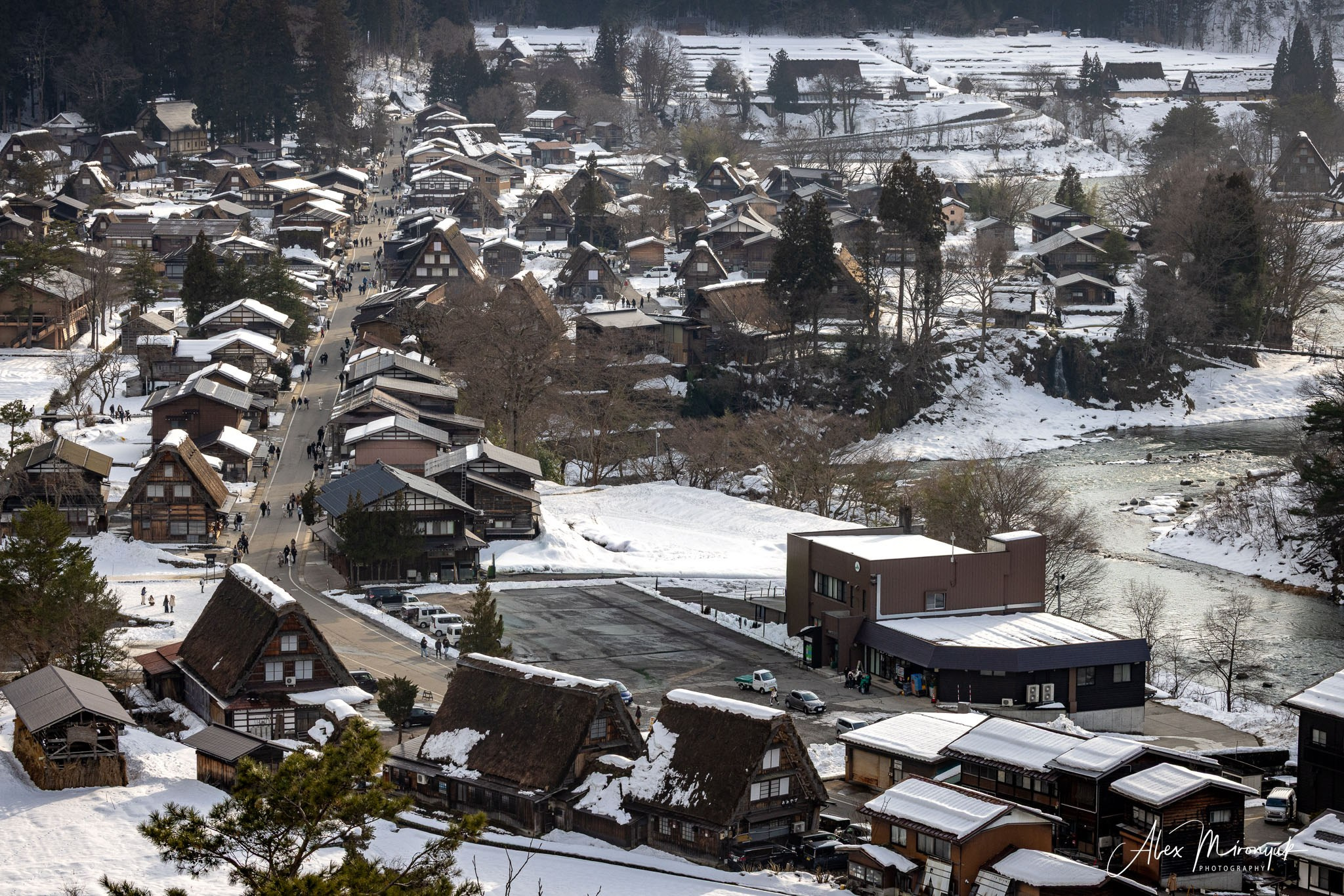 Winter Japan: Snow Monkeys, Castles & Timeless Villages. Pet, Senior, Landscape, portrait studio, photographer in Miami and Sou