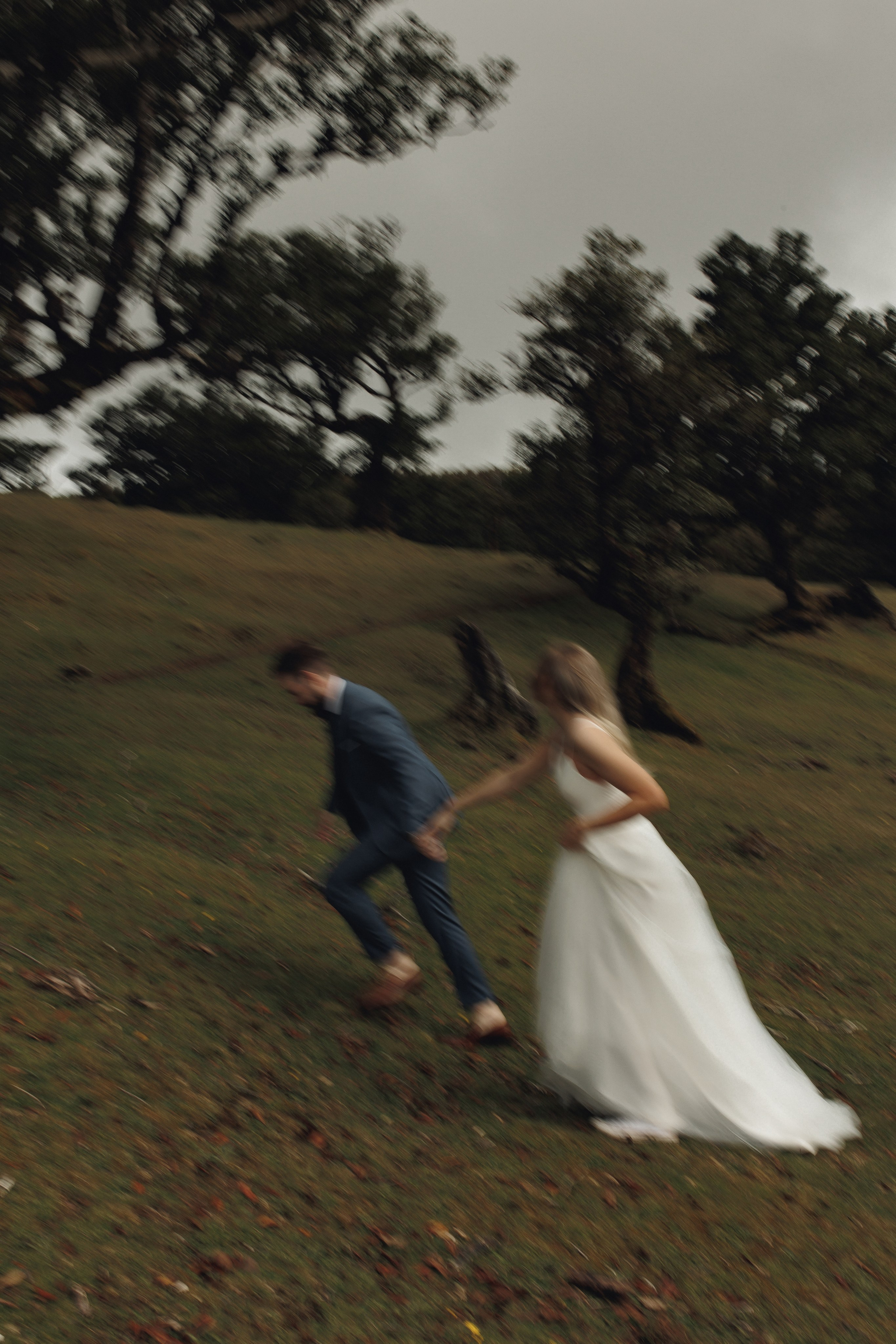 Elopement in Madeira | Mystical Forest of Fanal. Wedding photographer and videographer based in Timisoara, Romania