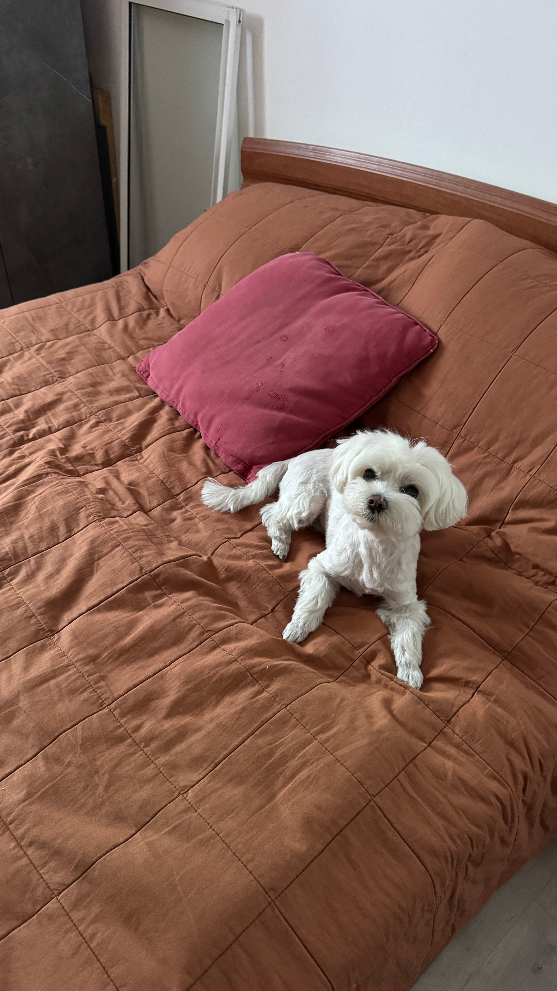 Everything from everything