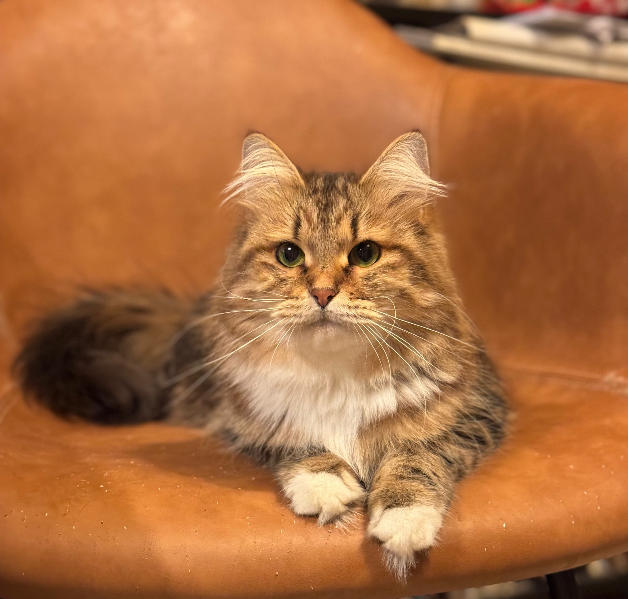 For some reason, I really like certain aspects of her. She might be too shy in the show, but she always has a place in my heart.”