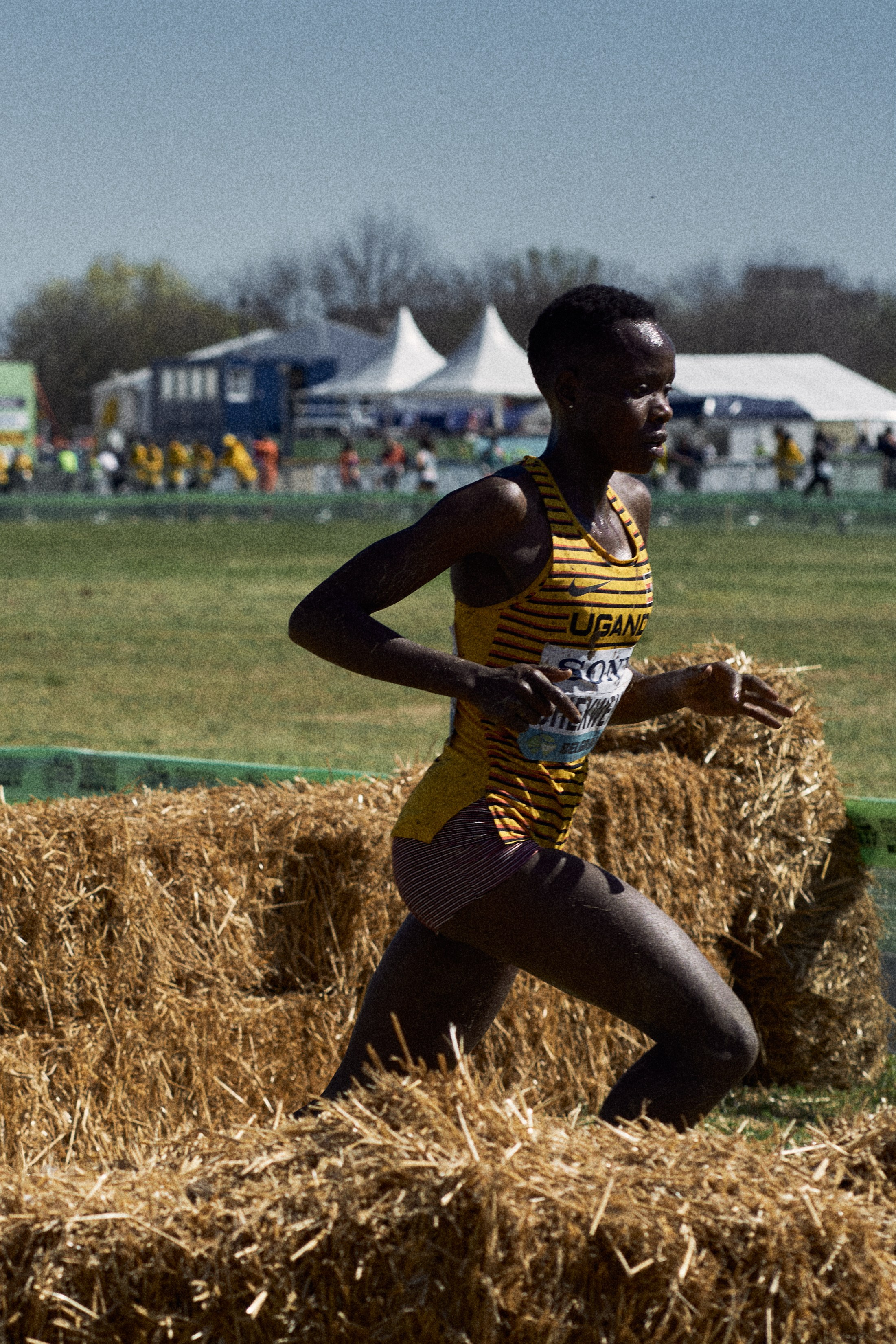 Cross Country Championship 2024 #running. Photographer Evgeniya Dovgalyuk