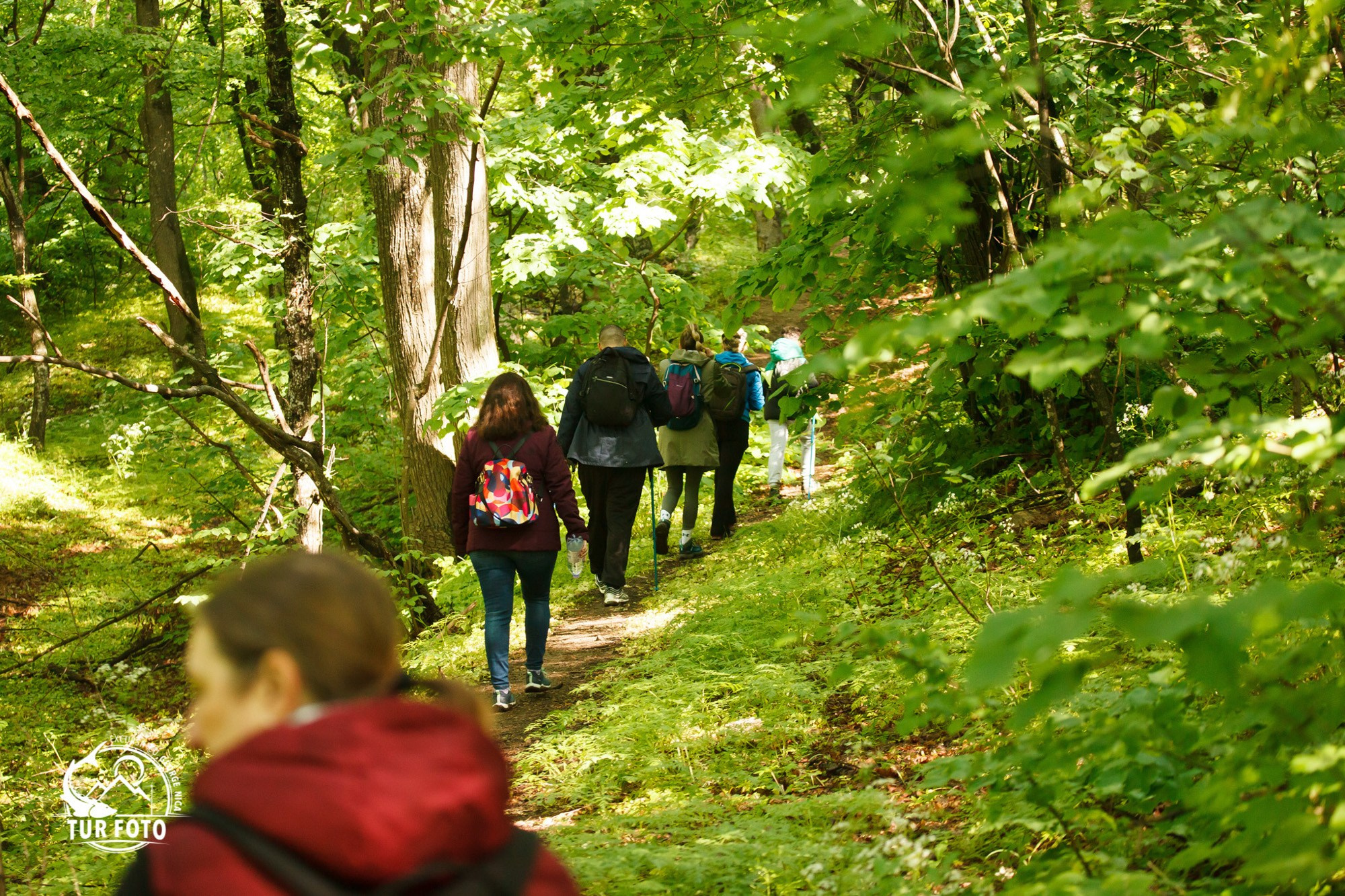 Tururi foto pentru programele Scoala Verde