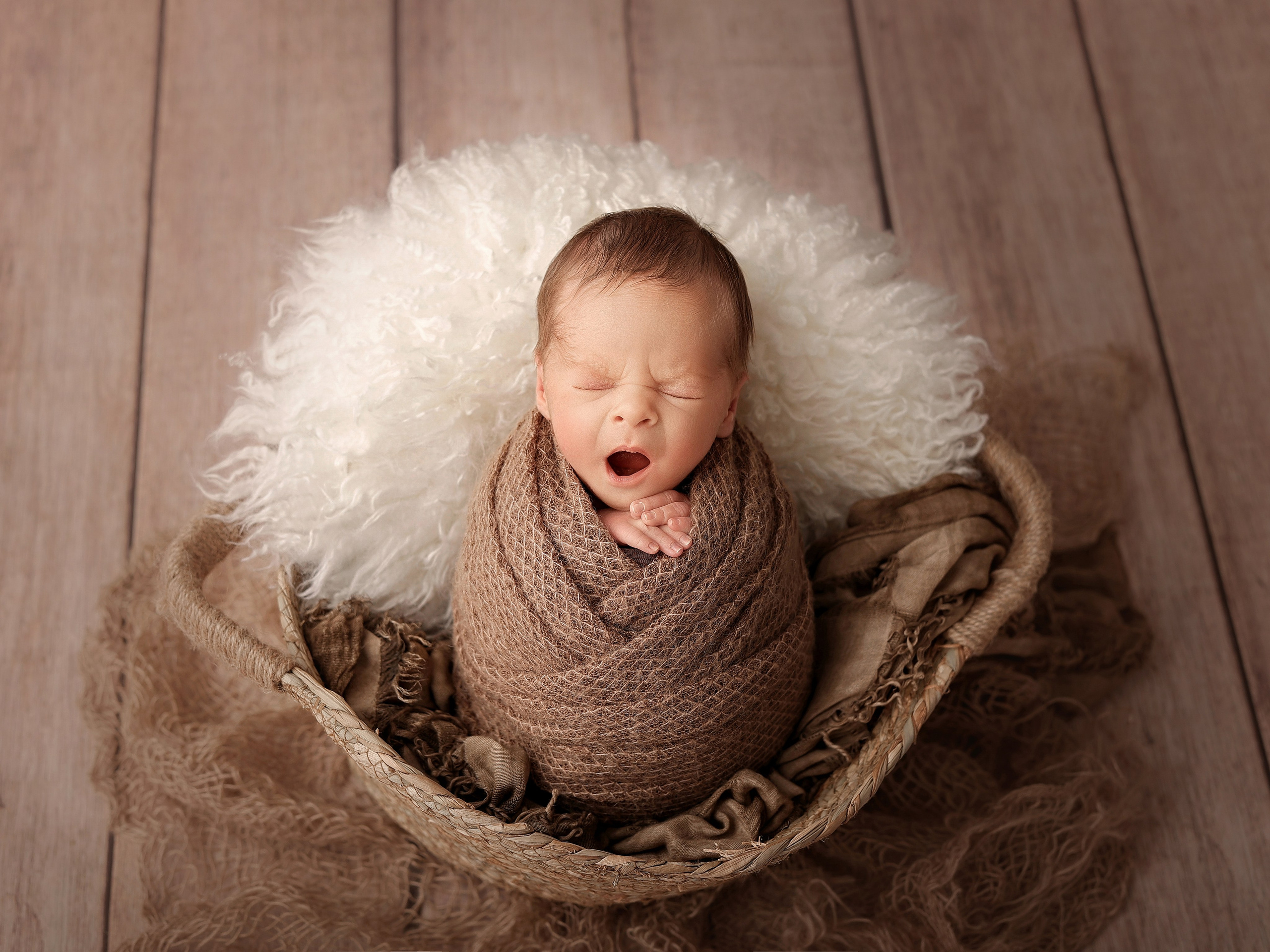 Newborn (Price). Familien- Fotografin in Marienhafe, Aurich, Emden, Norden, Leer