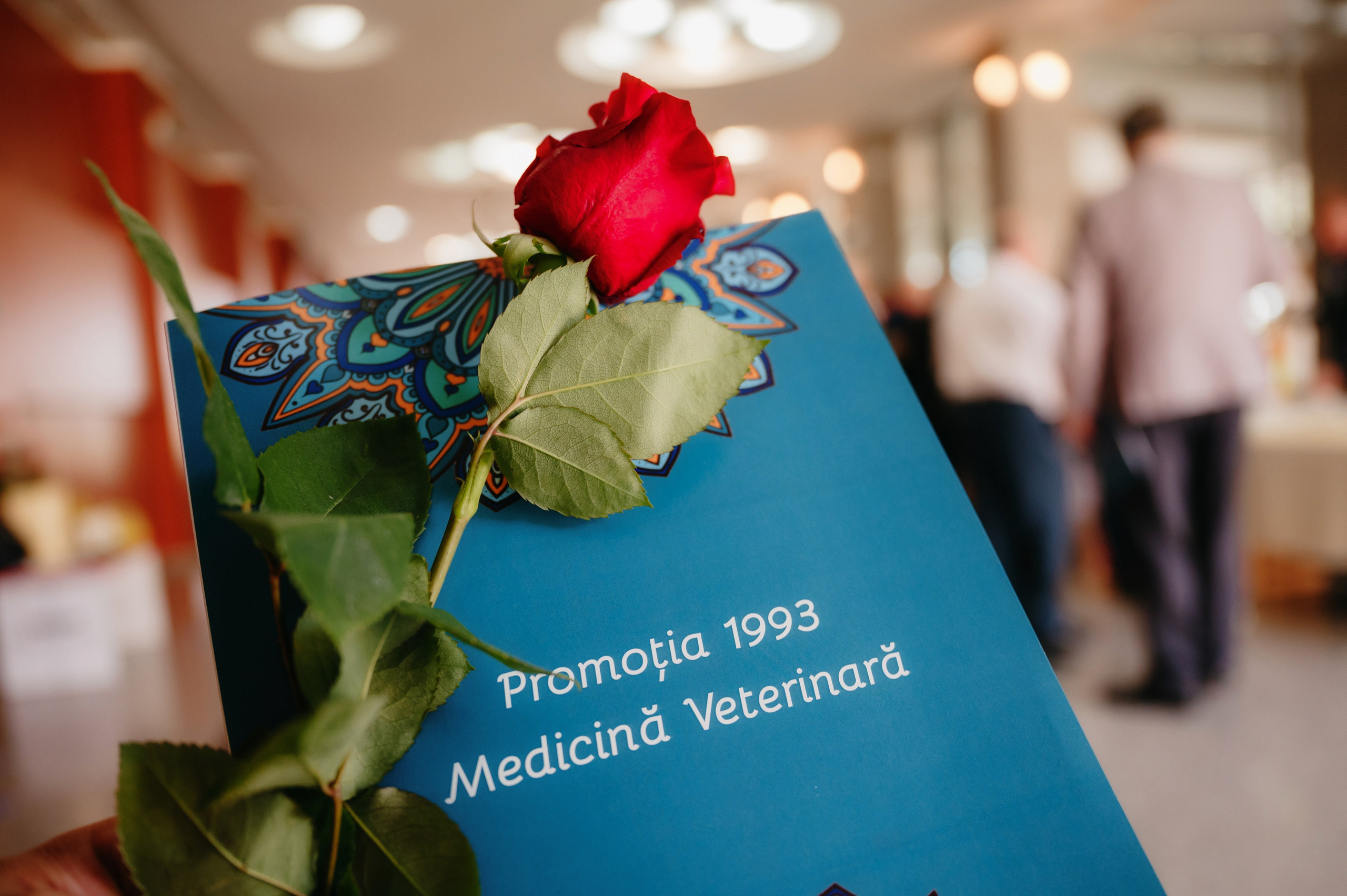 Medicina Veterinara — dupa 30 de ani…. Laurentiu Stefan StoryTeller