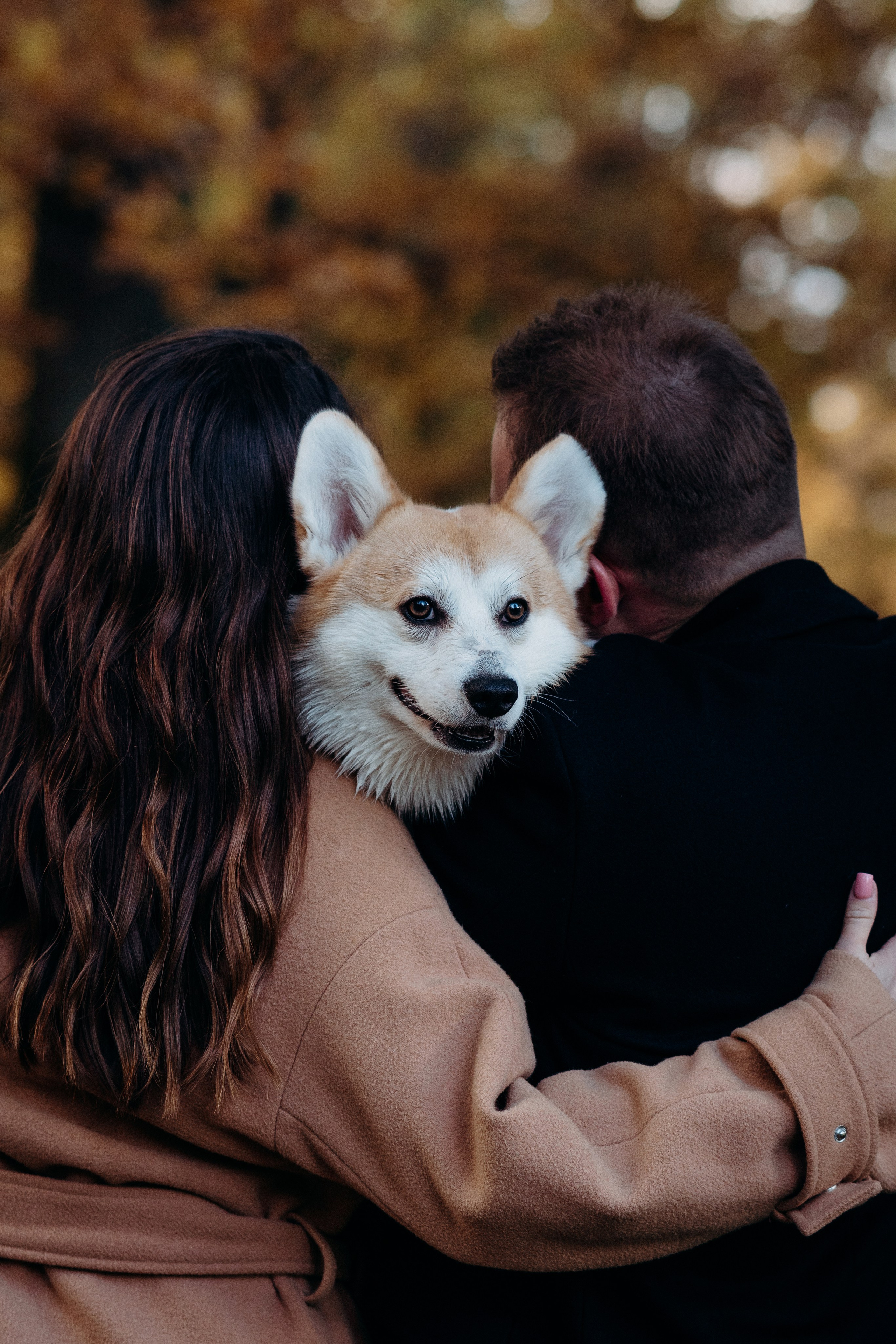 Liisa, Alexander & Marsel. Фотограф-анималист в Таллинне, Катя Лайсаар
