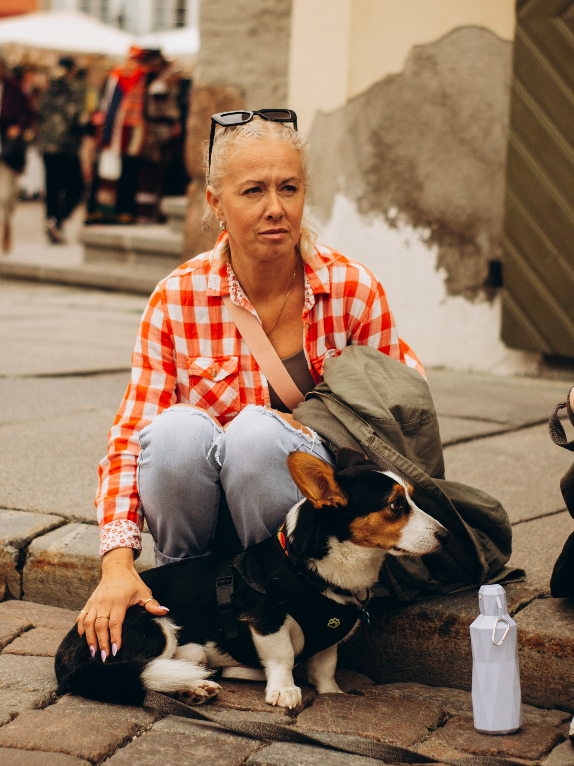 Corgi party, september. Kat Laisaar — Pet photographer in Tallinn