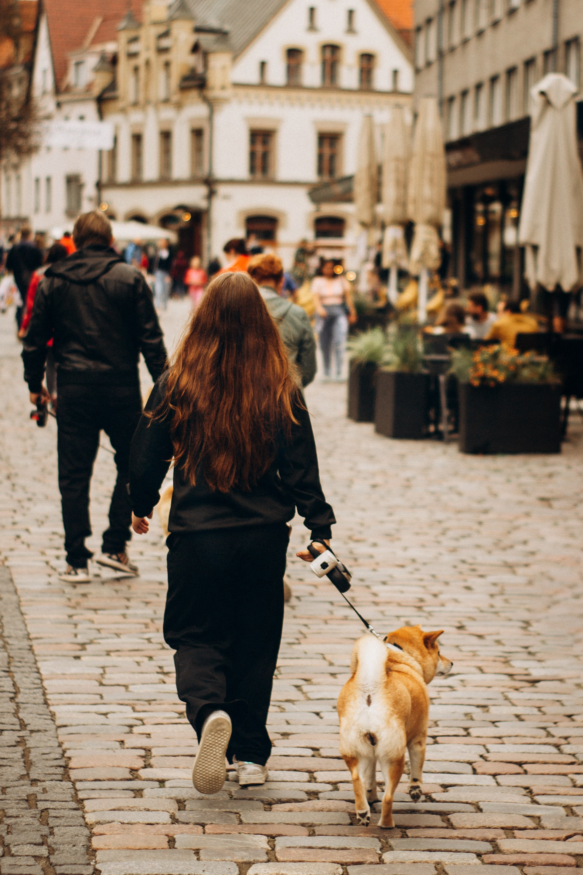 Dog Street Photography in Estonia. Kat Laisaar — Pet photographer in Tallinn