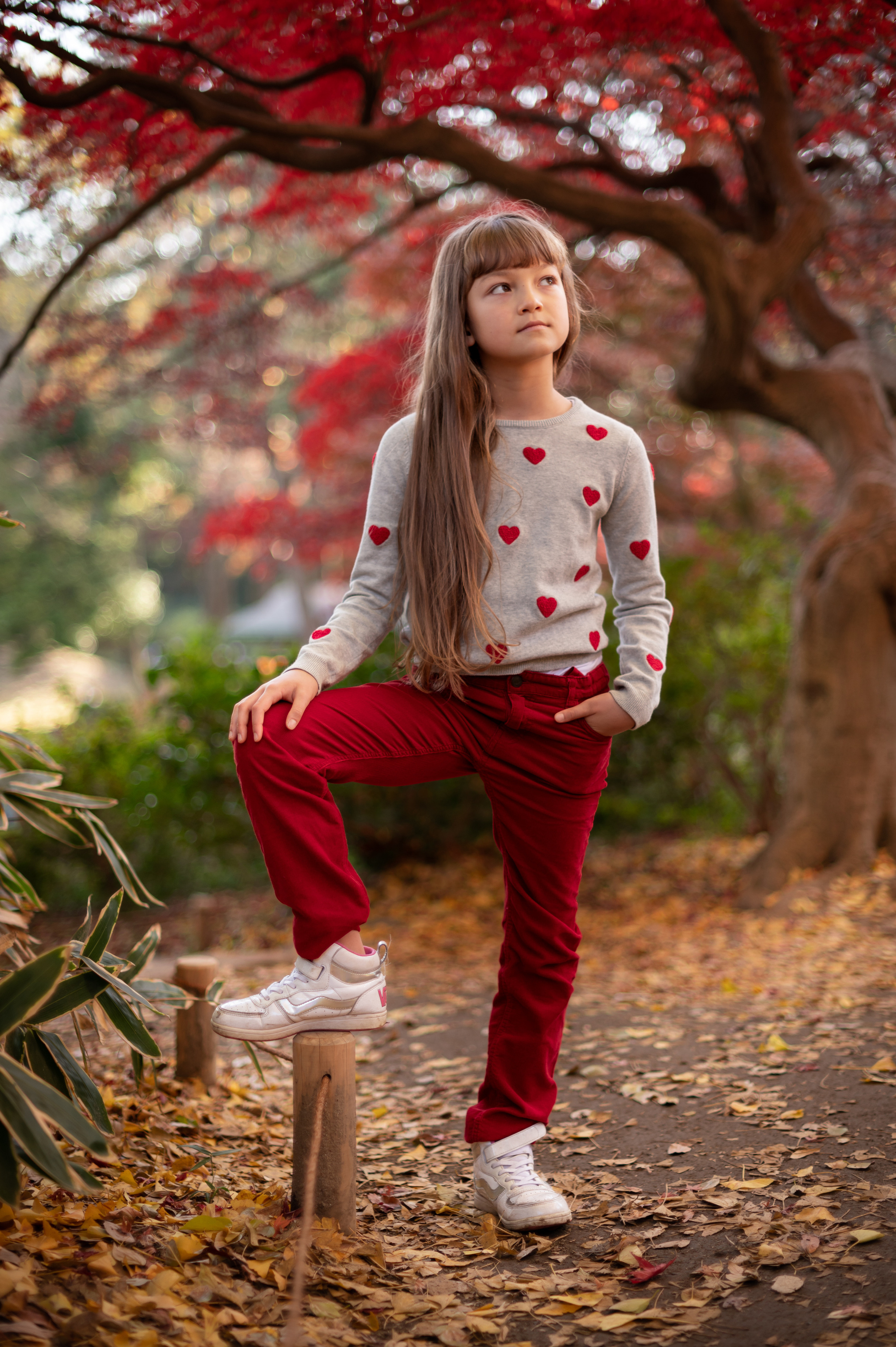 Детские фотосессии. Семейный фотограф в Москве