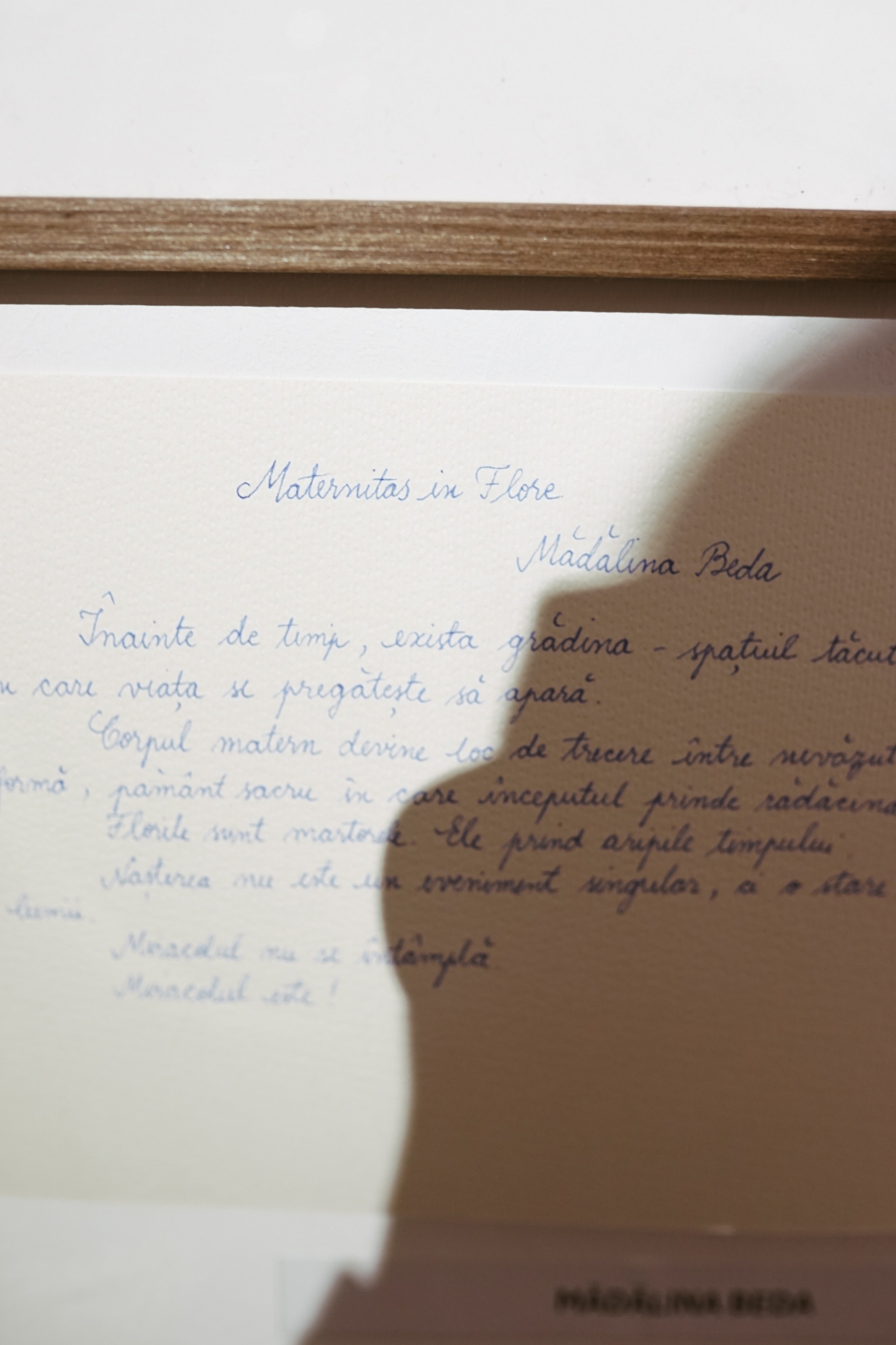 Expoziție Foto Maternitate Brașov | Mădălina Beda. Madalina Beda- Artist vizual, fotograf, doula la nastere, consultant babywearing Brasov si in toata tara