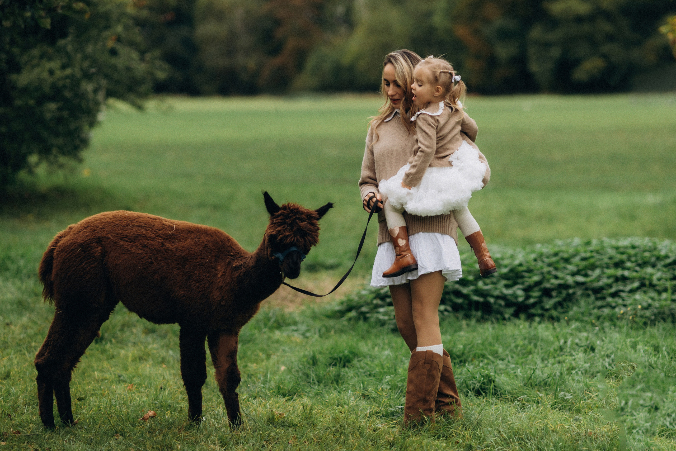 Семейная фотосессия с альпаками. Семейный фотограф Лейпциг, Германия