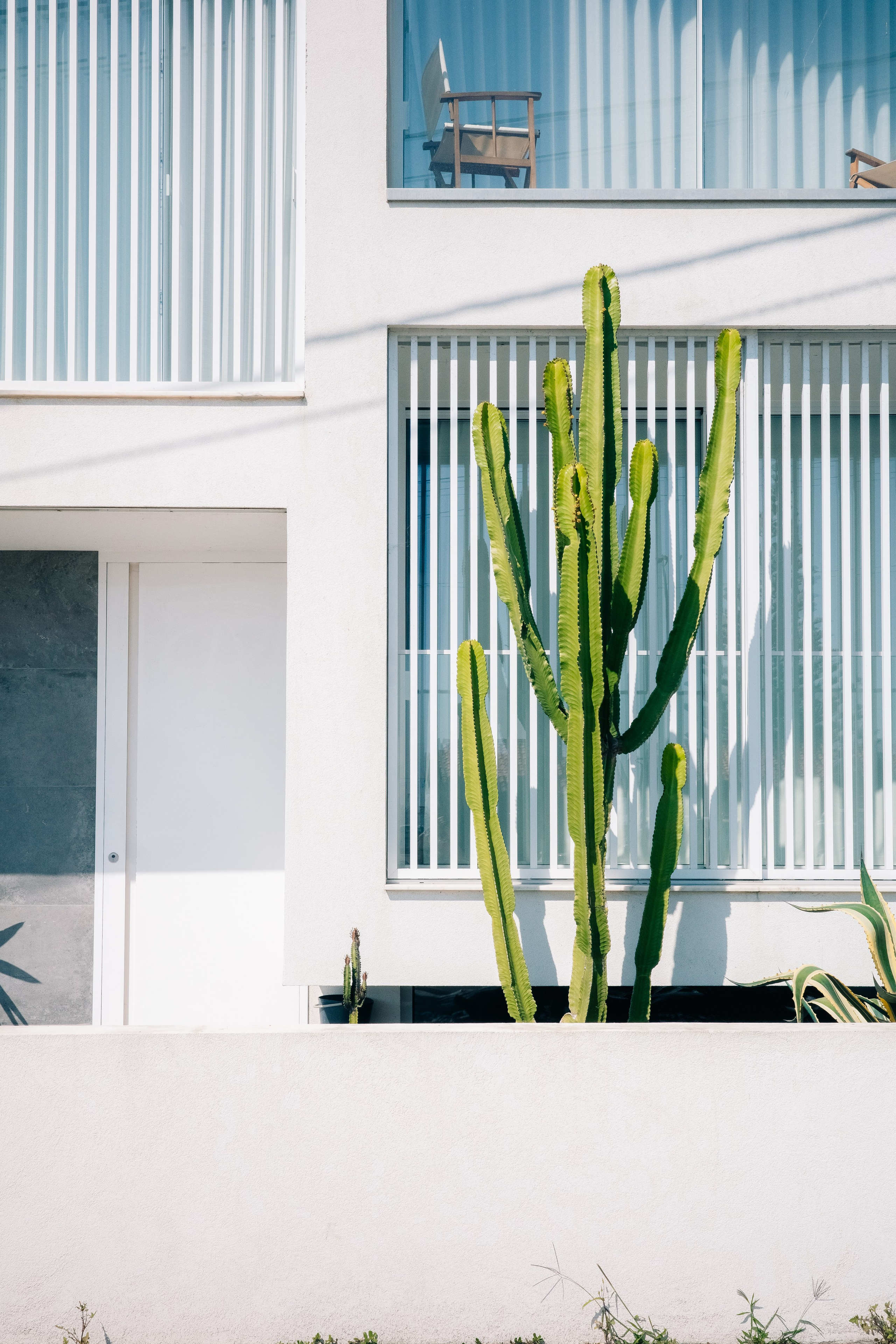 Работы Марии Шер. Sher.SCHOOL