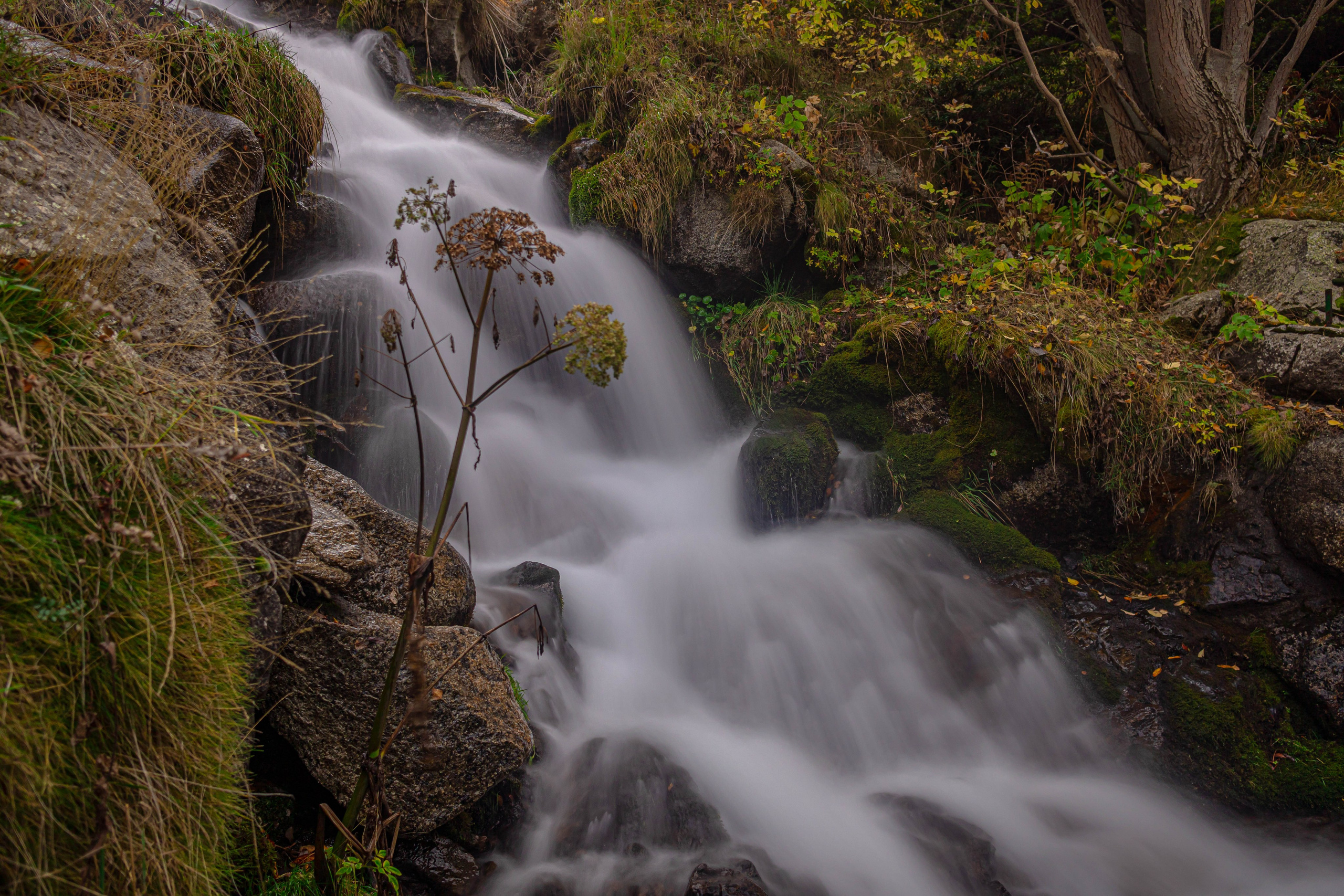 Vall Fosca en otoño. Alba del Norte Studio