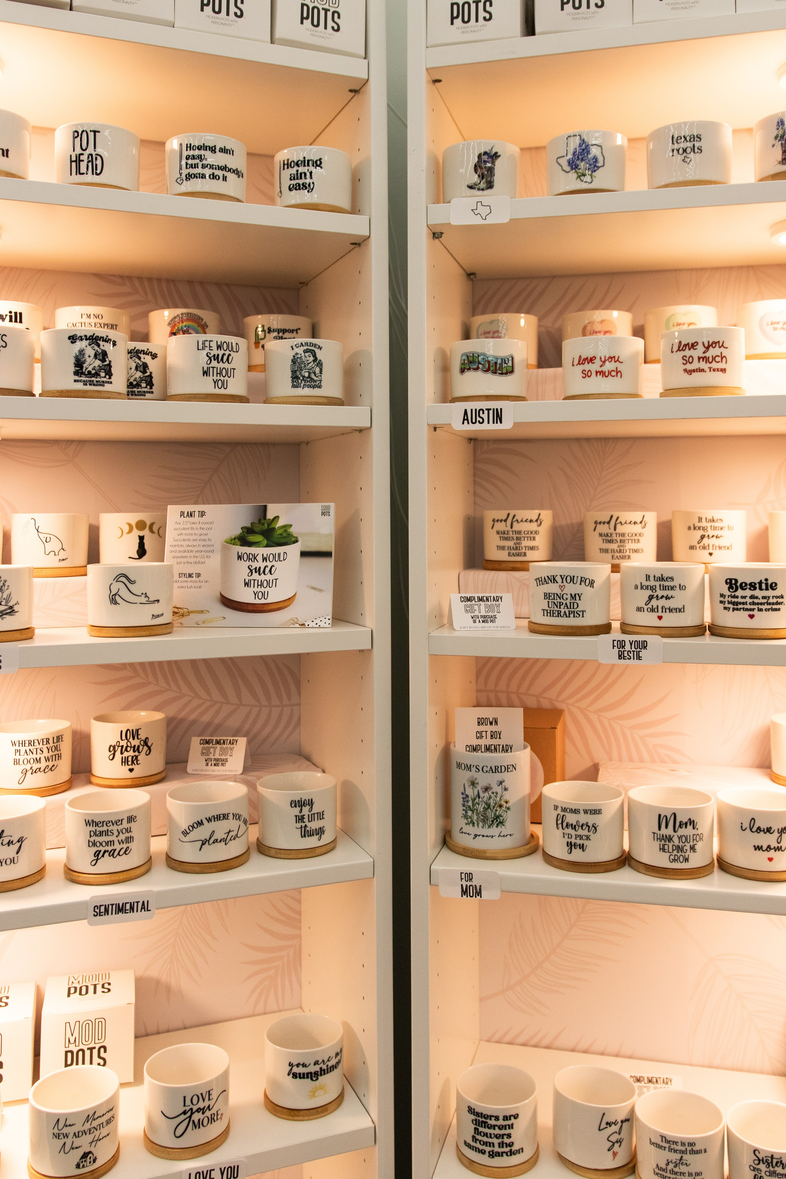 Painted Tree Boutiques fall collection retail photoshoot in Round Rock