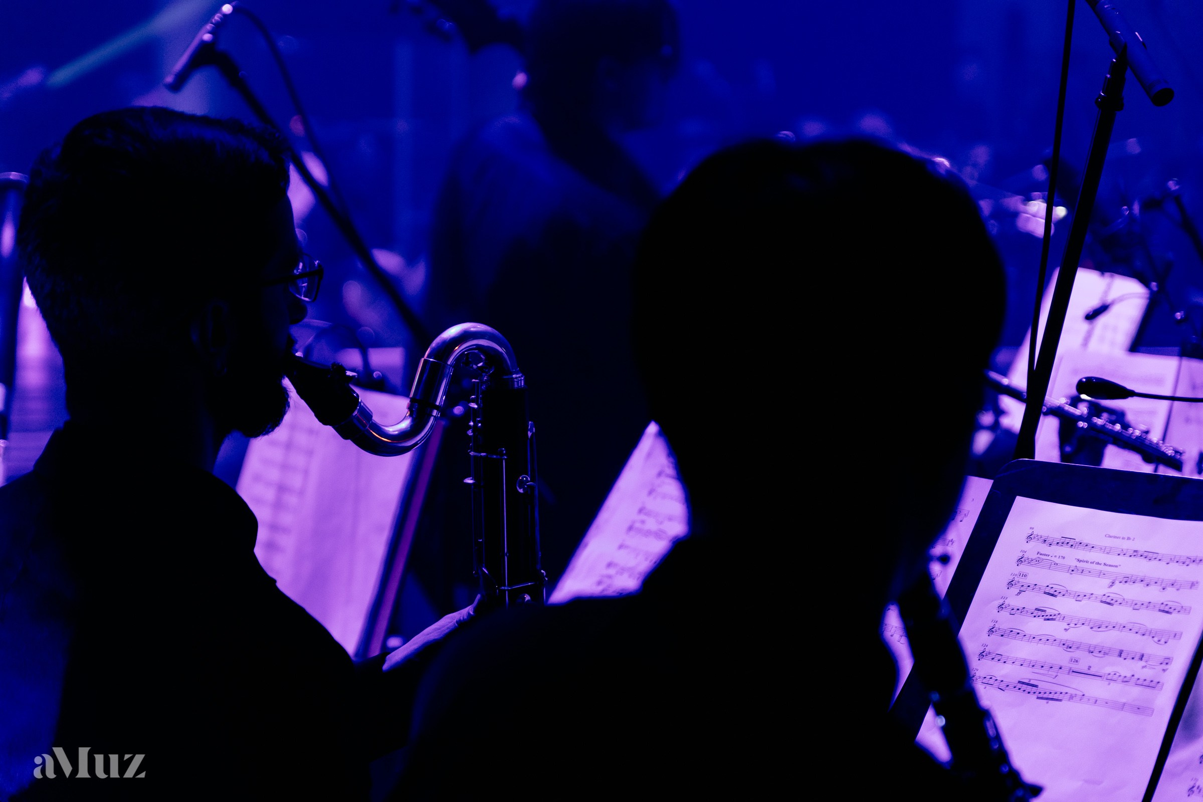 Koncert Amuz.pl. Fotograf Ślubny Warszawa - Sesje Biznesowe Rodzinne Eventy