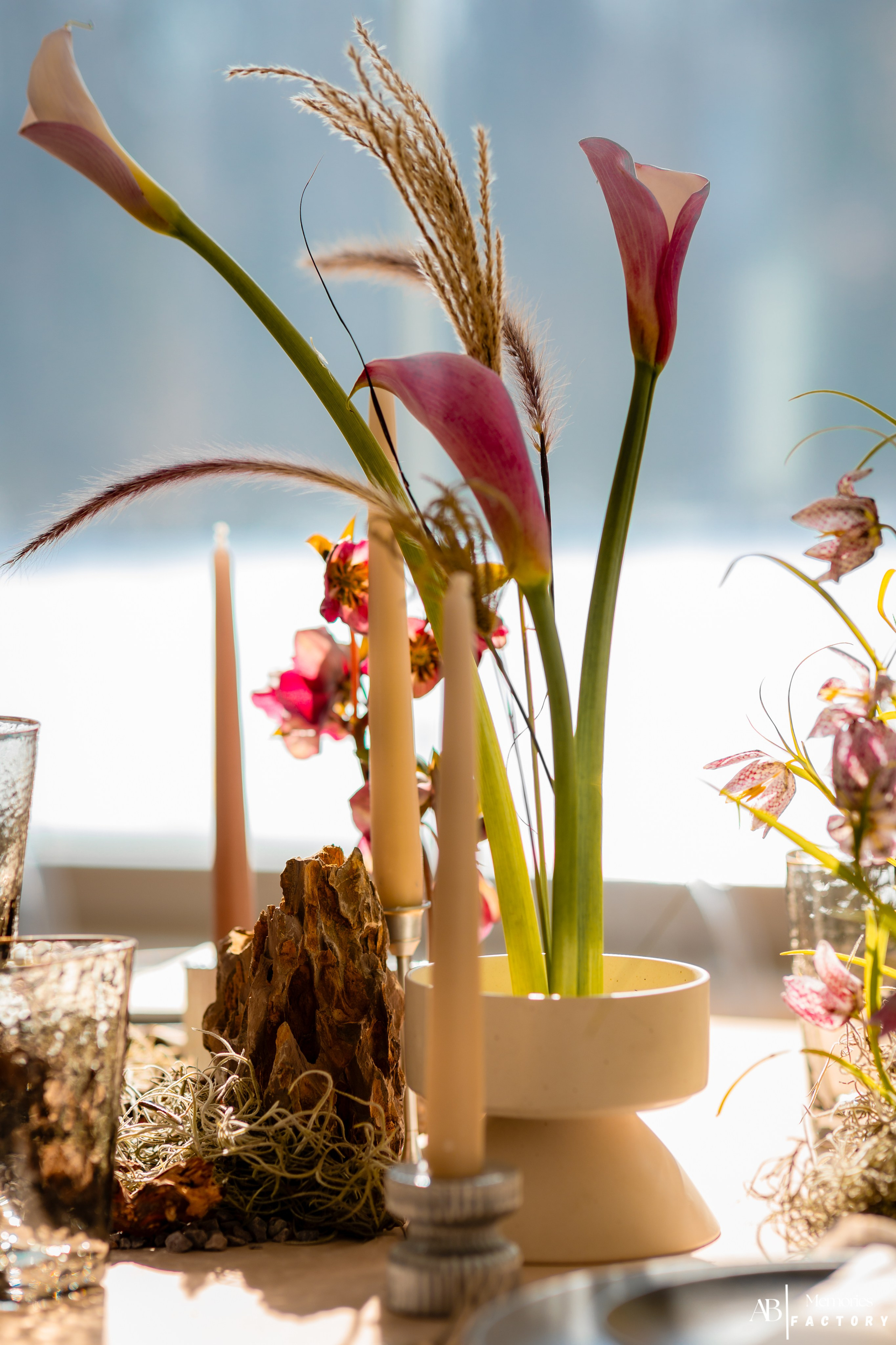 Photoshoot | After Weeding. Bordeiionutfotograf