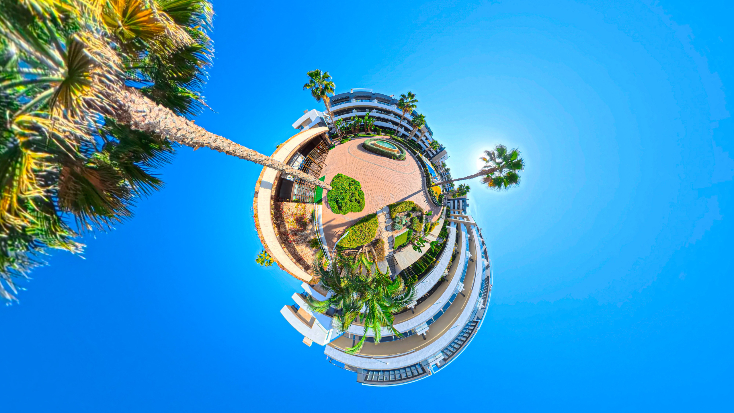 REAL ESTATE. Baby Beast