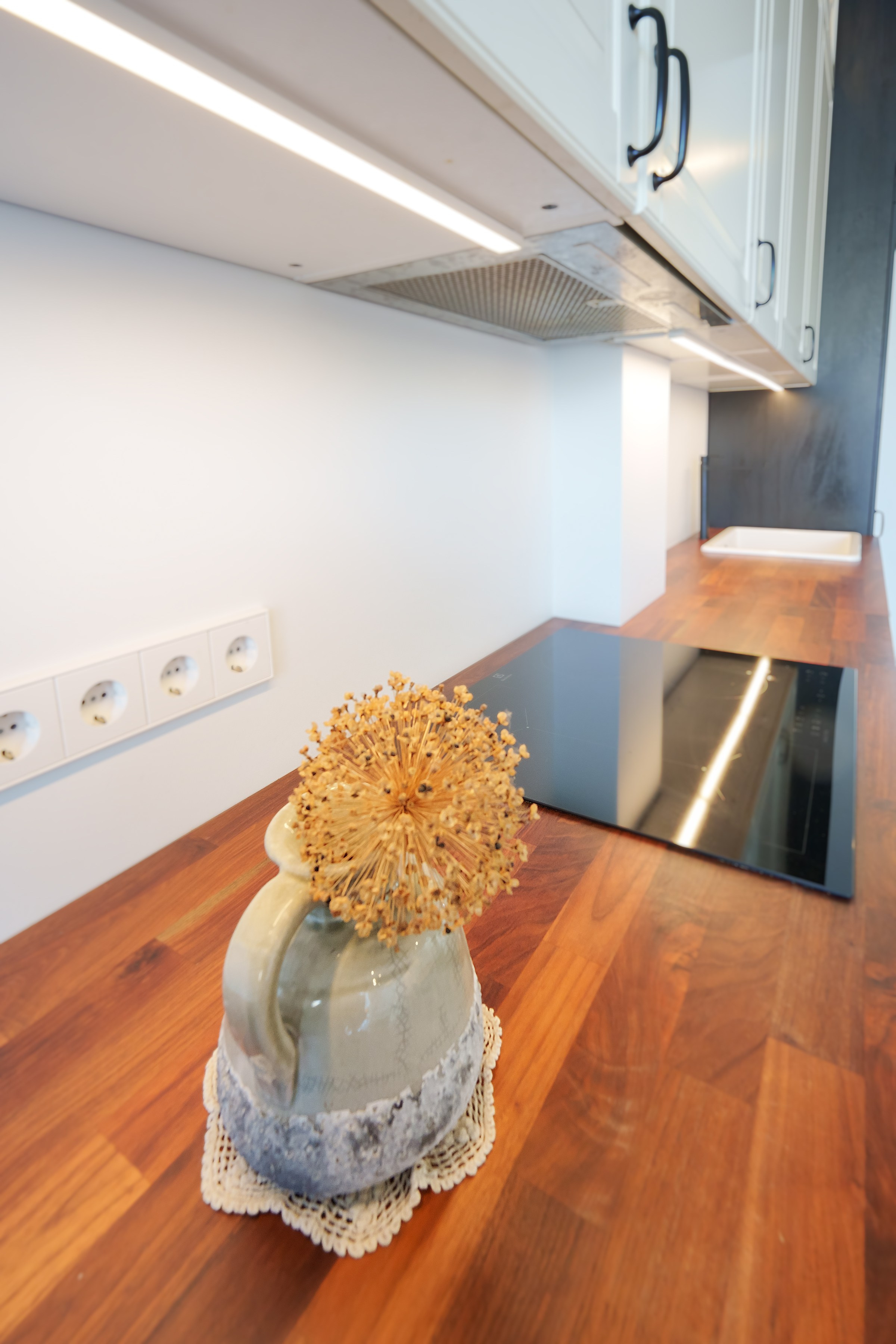 Ginetiškės, Pakonių g. Elina Sapiega fotografė Vilniuje