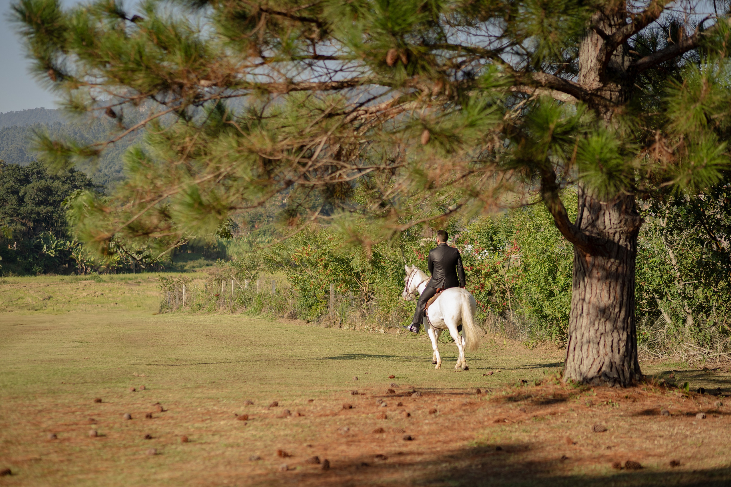 Suelen e Lucas. Juliano anjos fotografia