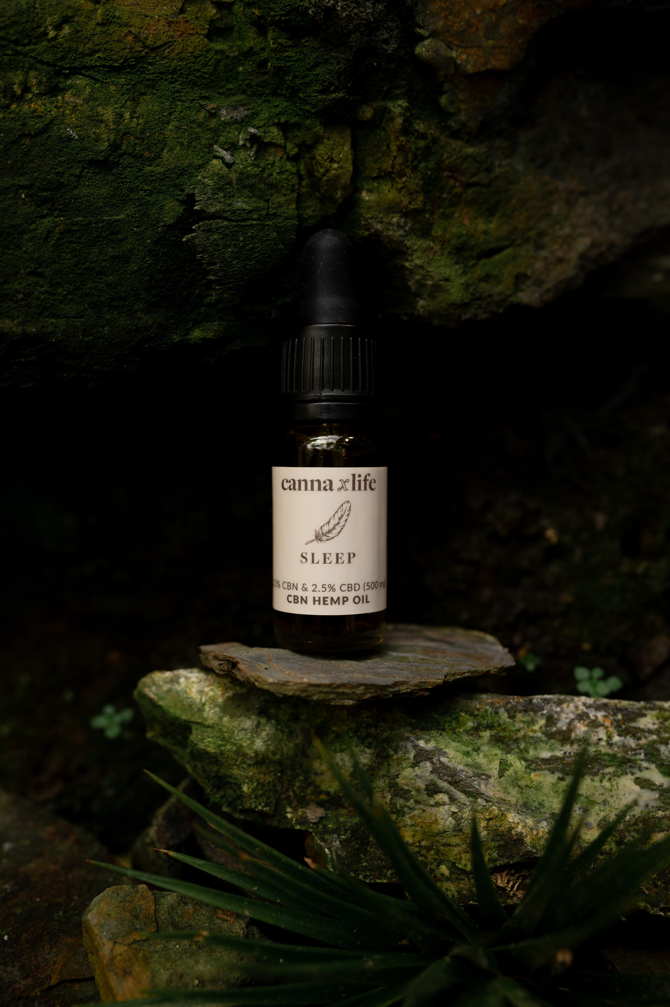 CannaXlife CBD products. ANNA-MARIA PHOTO CONTENT CREATOR — фотограф, эстет, художник и визуальный эксперт в Instagram, работающий в Праге