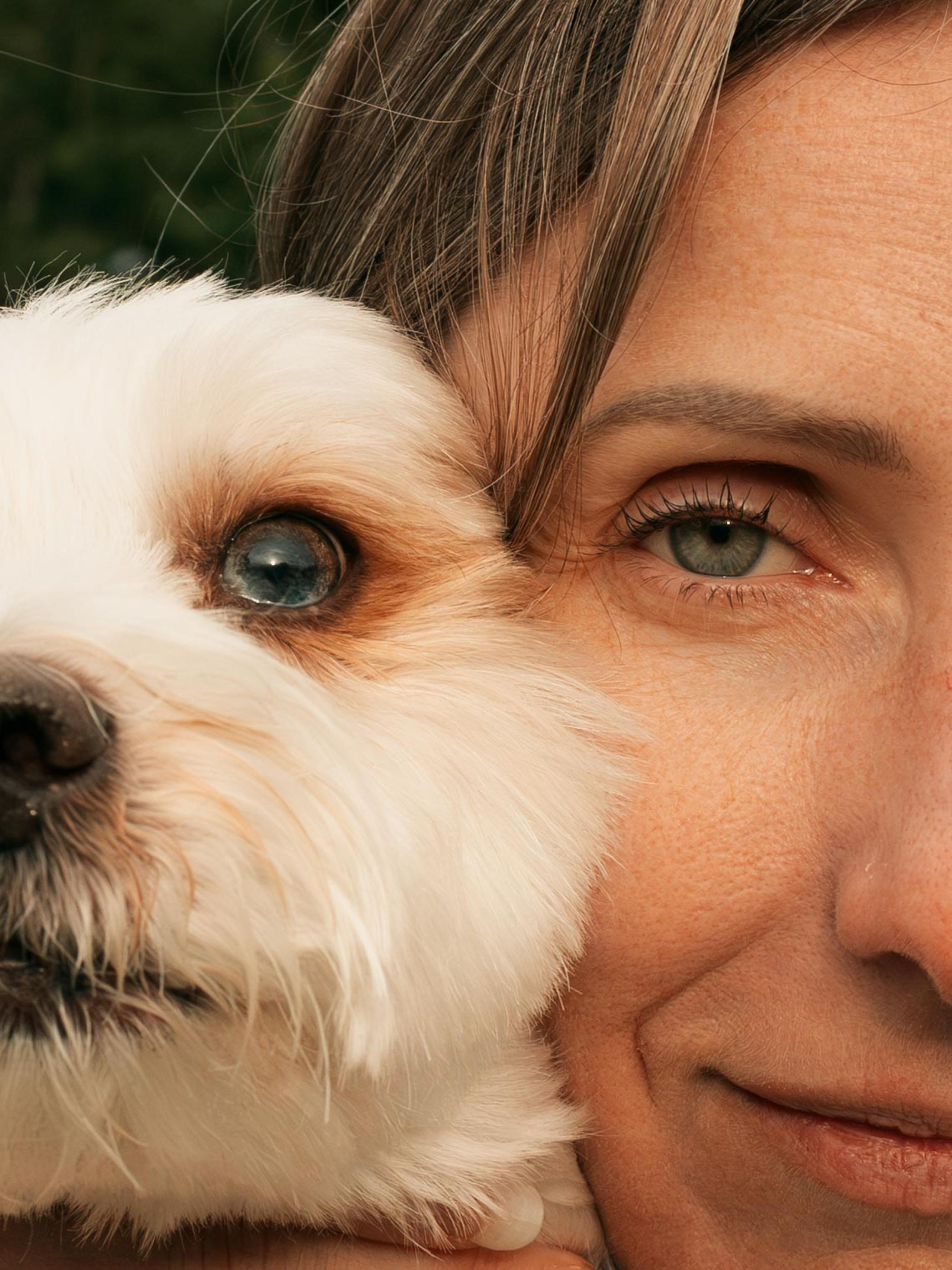Pet & Owner