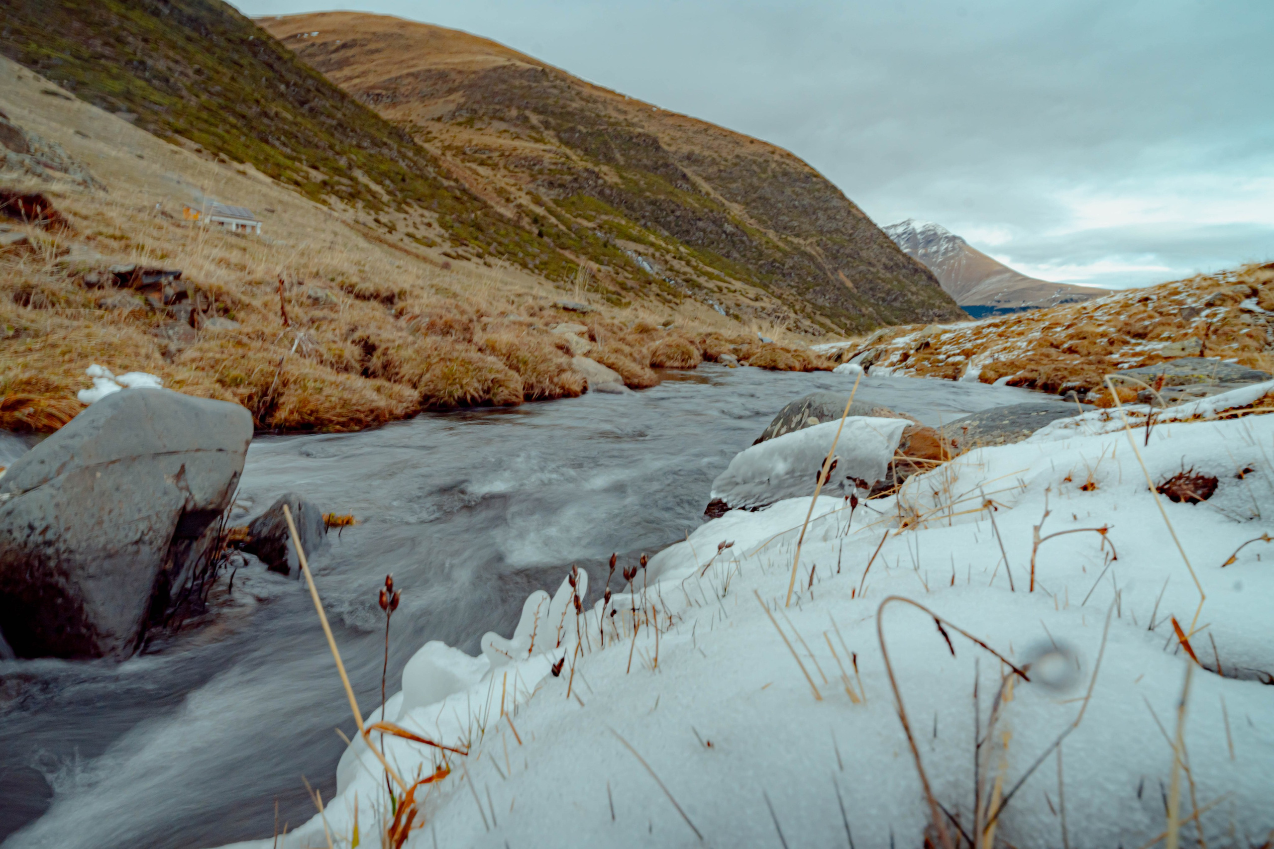 Filia. Alba del Norte Studio