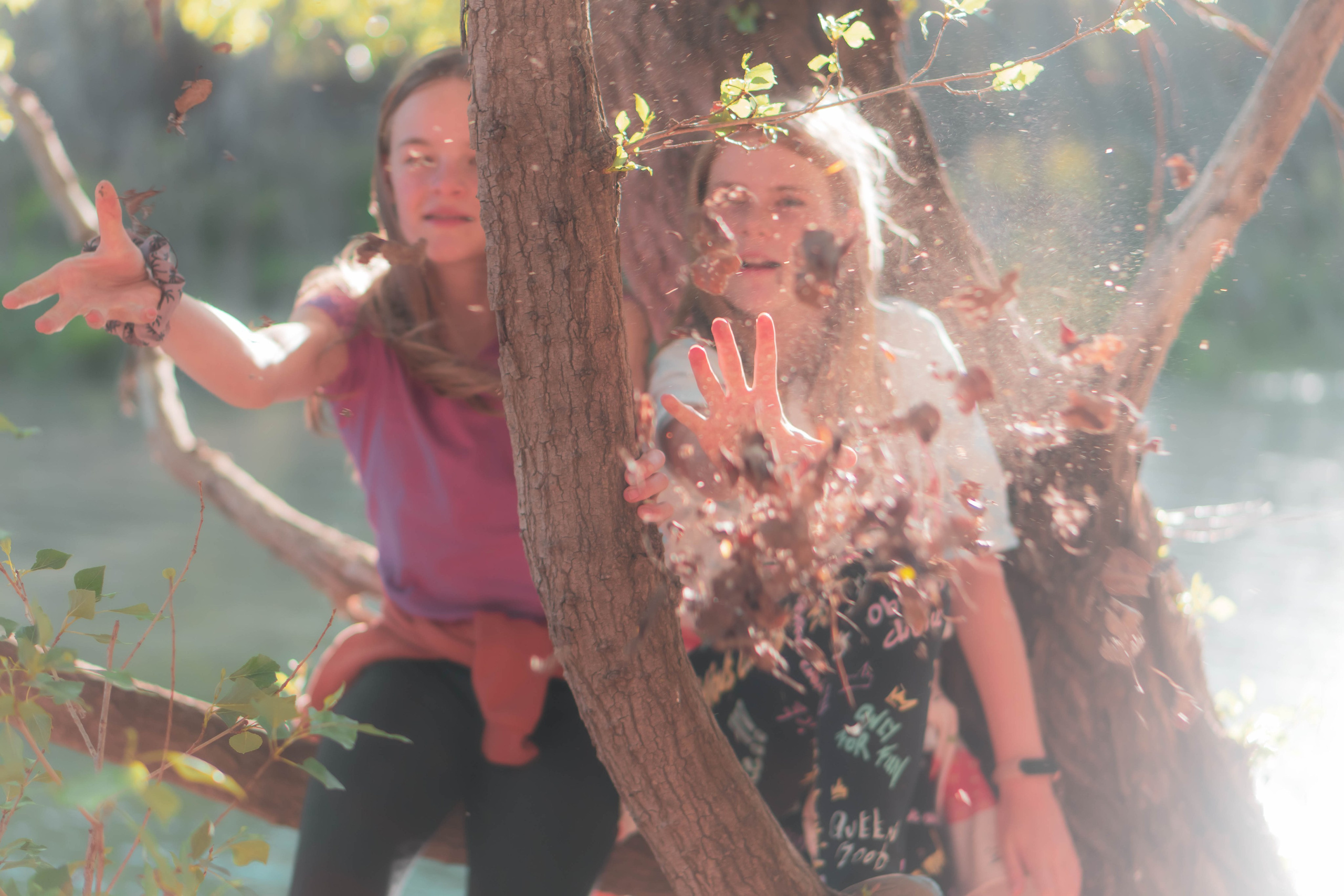 Noa&Agnia. Alba del Norte Studio