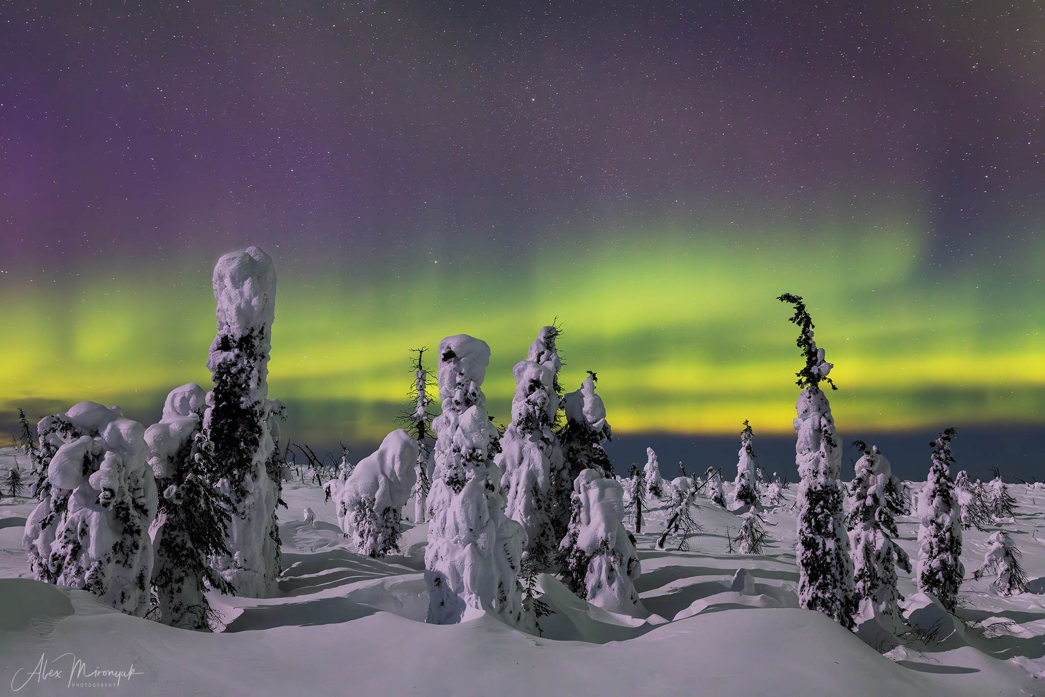 Chasing the Aurora Borealis. Pet, Senior, Landscape, portrait studio, photographer in Miami and Sou