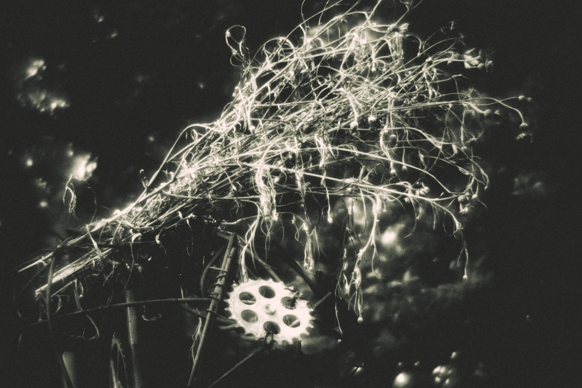 A.Dukura Jāņu laika perfomances. Sandra Garanca Portrait and event photographer