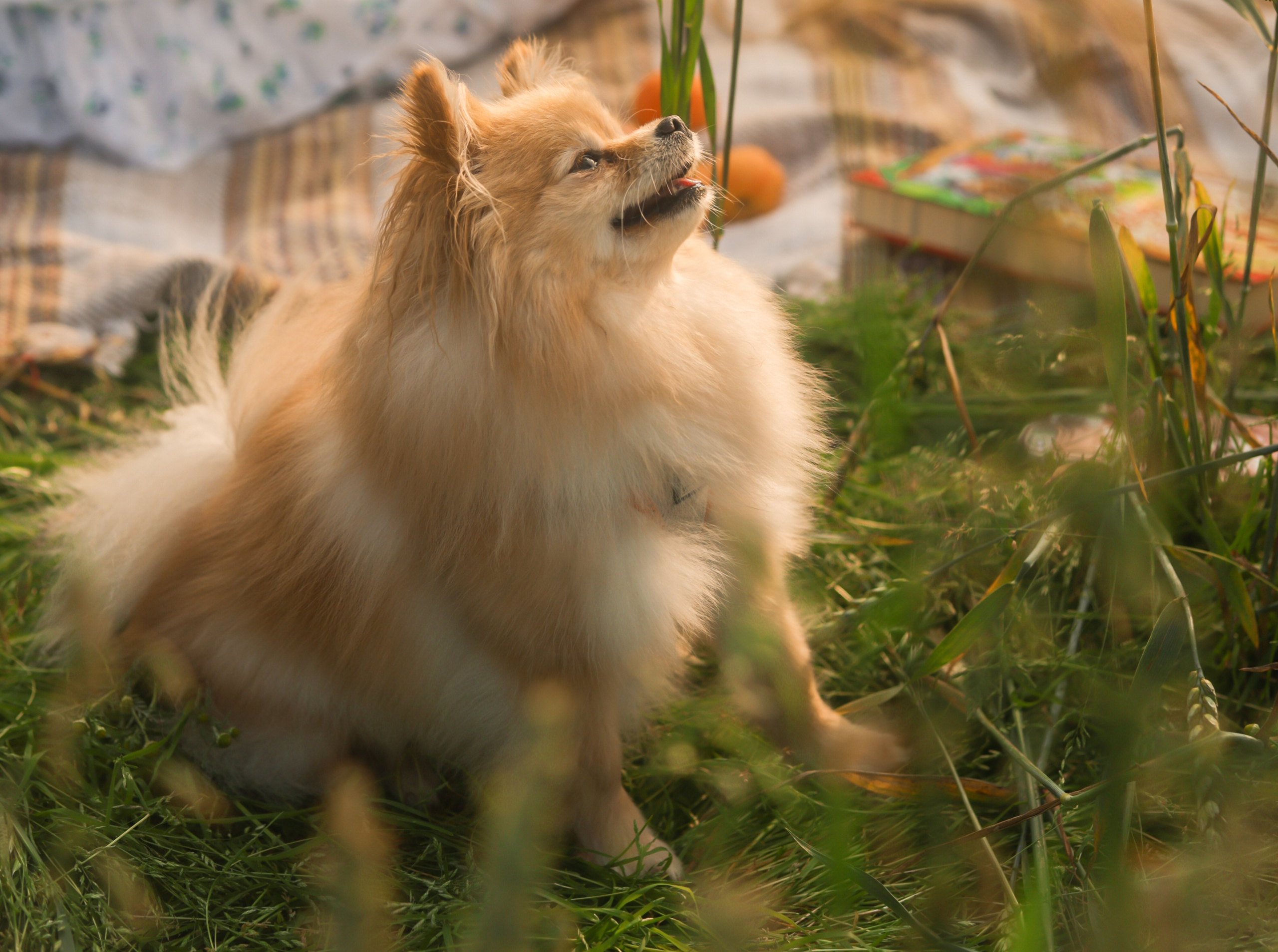 Mum & Daughter. Photographer Co Dublin, Balbriggan — Agata Maliseva