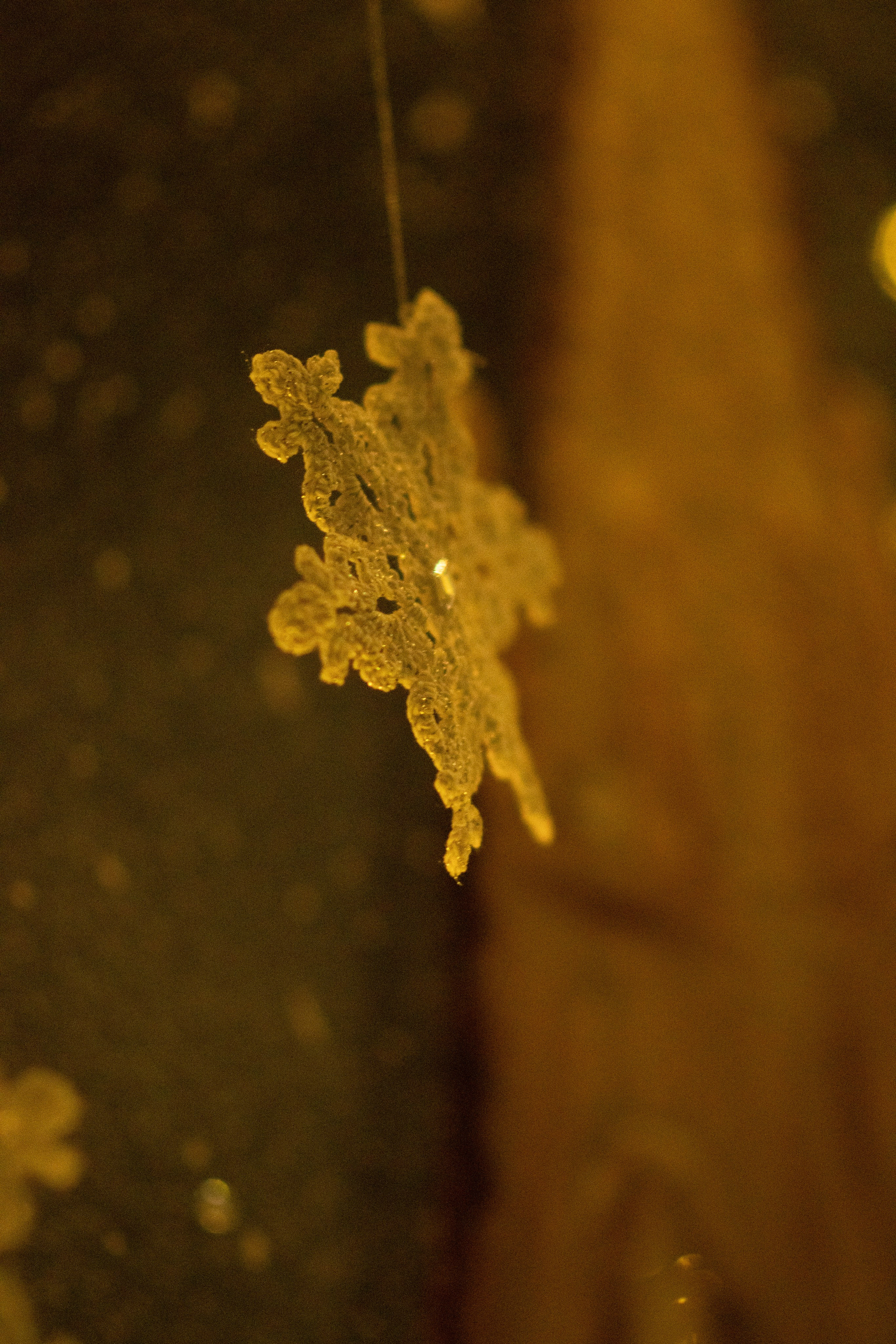 Проект. Семейный и детский фотограф