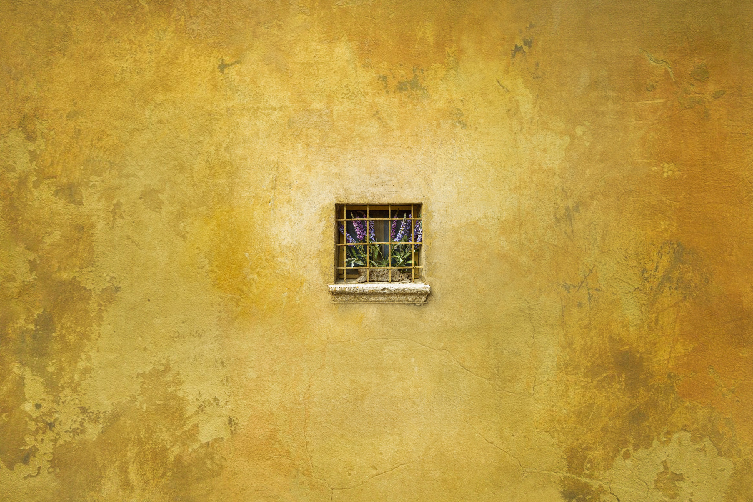 Street Photography. Portree- ja perefotograaf Anton Hansen Tallinnas, Eestis