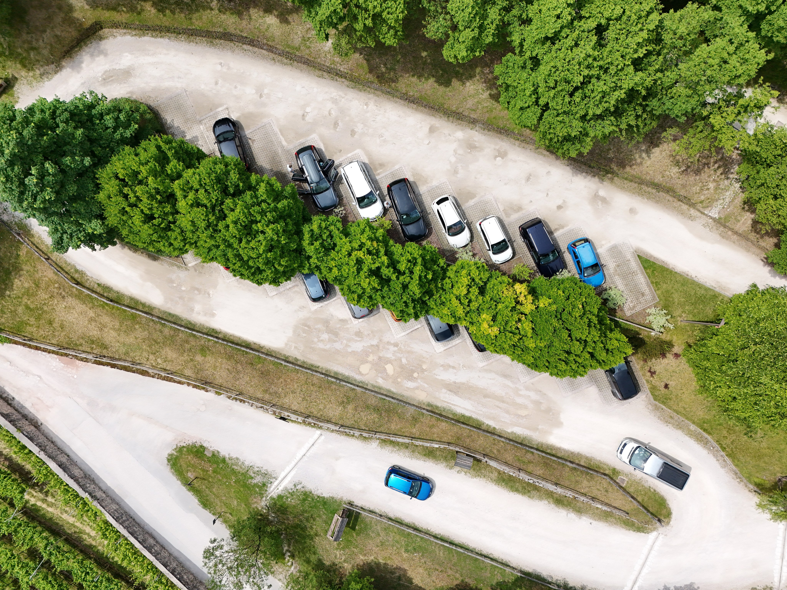 Drone. Photographer, Videomaker, Drone, Padova, Venice, Italy, Elena Radchenko