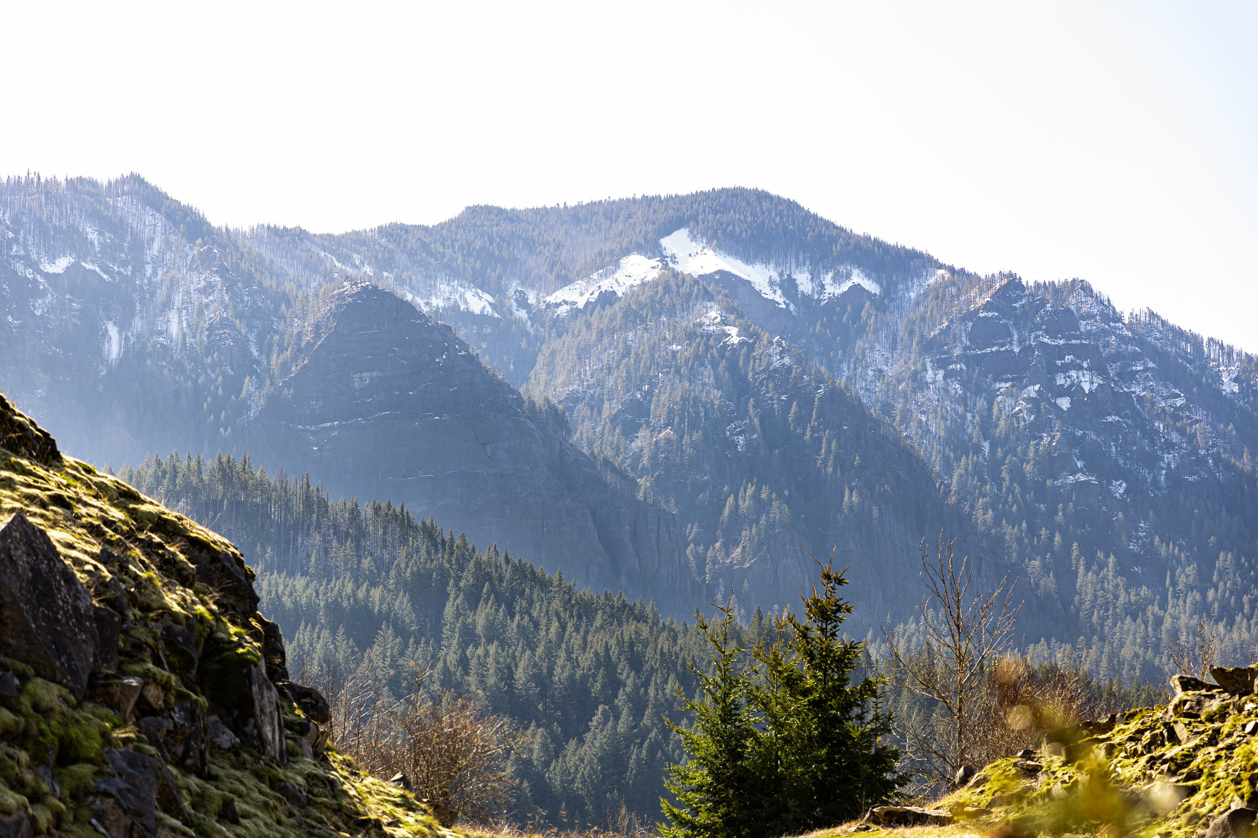 L | G. Family and Wedding photographer