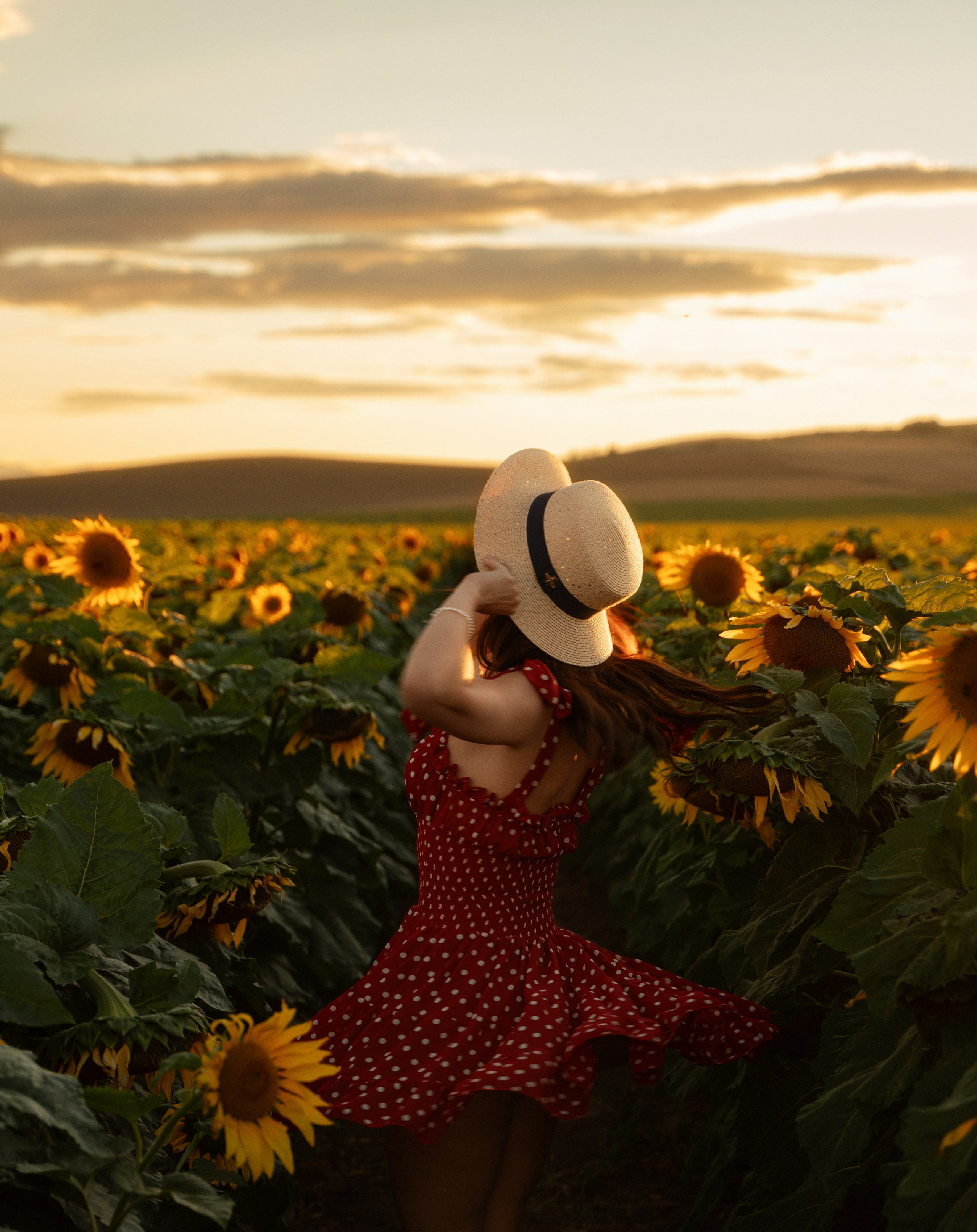 Portrait of young beautiful model in sunflower field at sunset by Marbella photographer