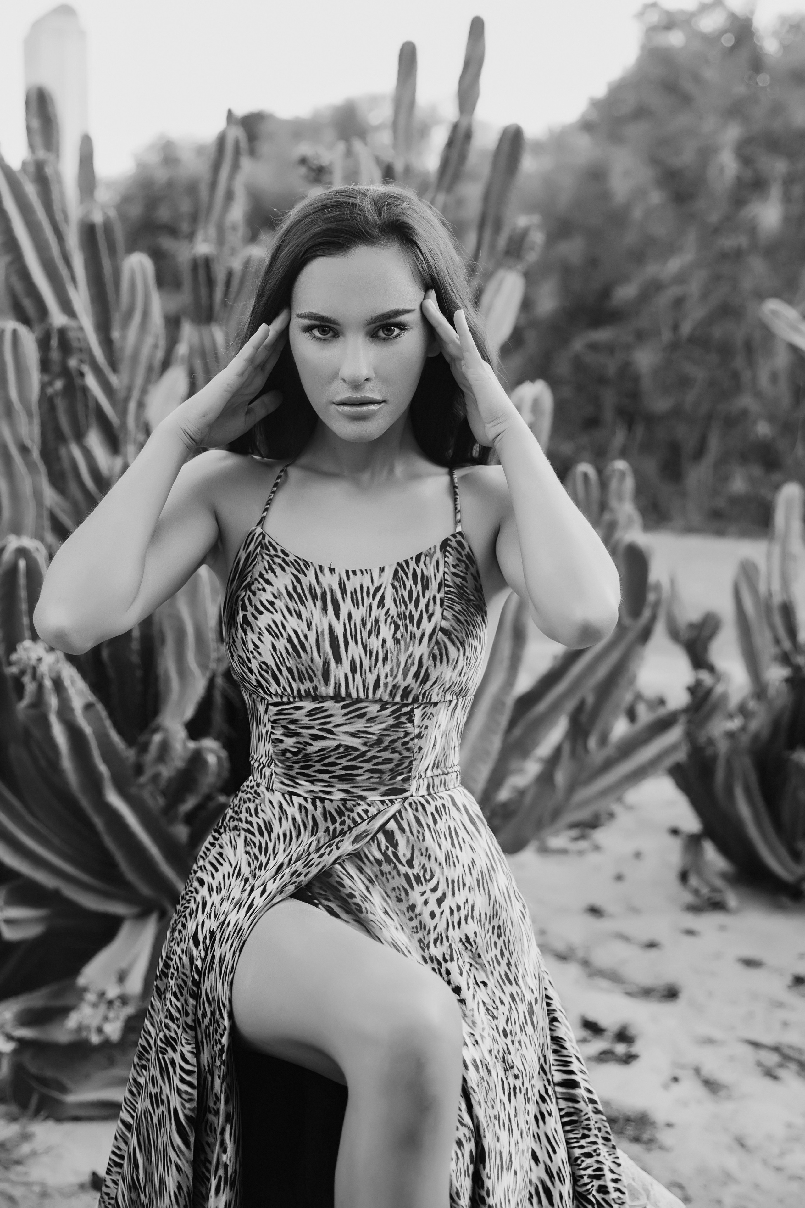 Tamara. Wild cat detected in Dubai. Портретний та весільний фотограф Надія Онода