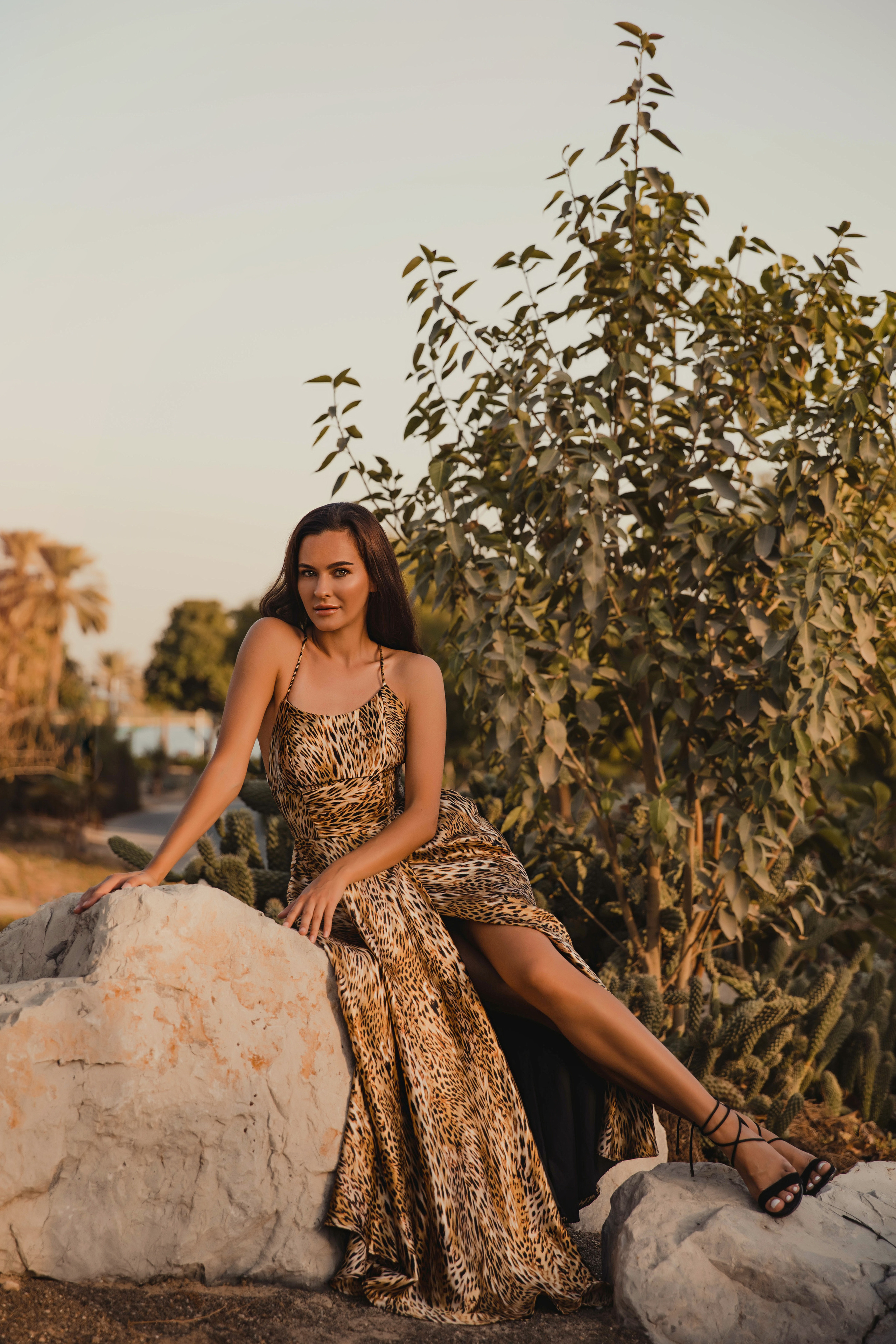 Tamara. Wild cat detected in Dubai. Портретний та весільний фотограф Надія Онода