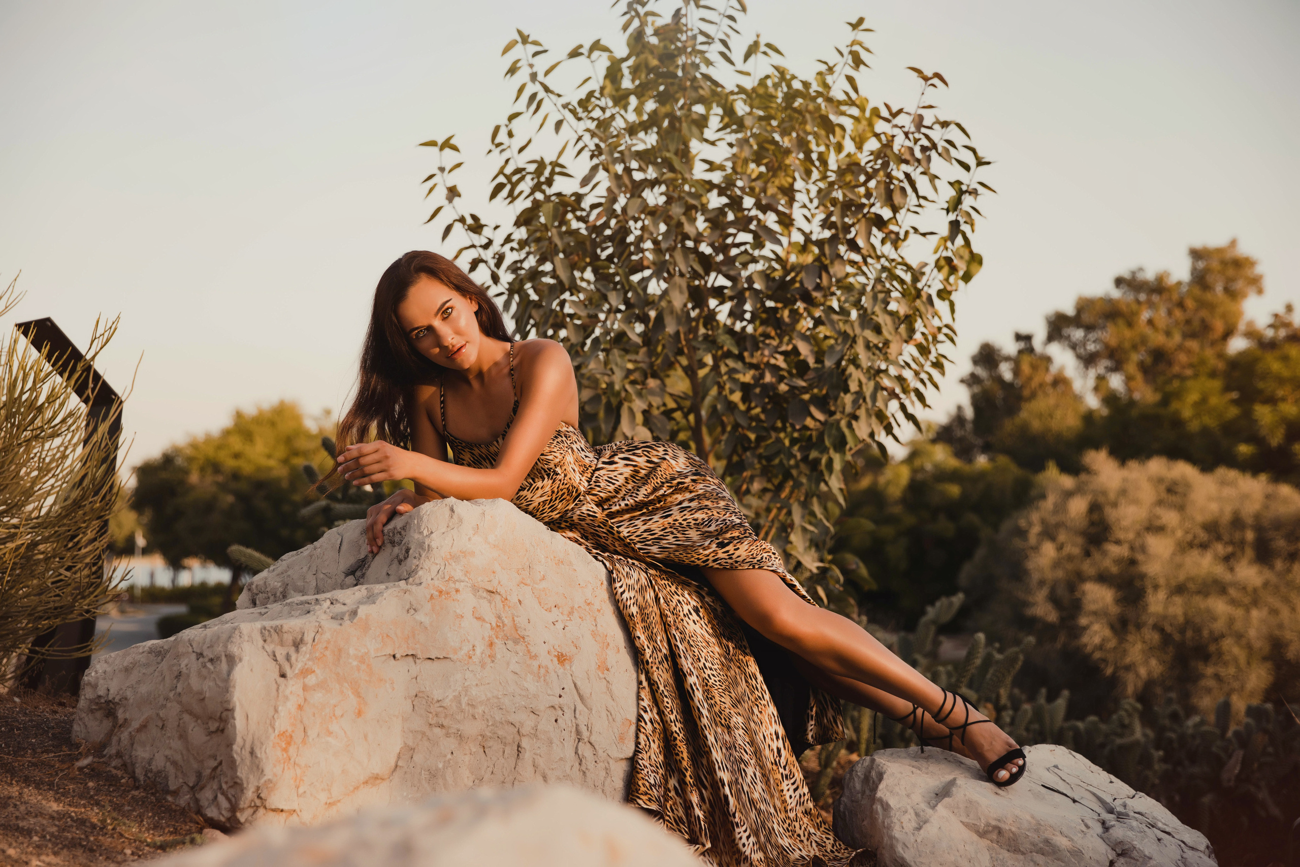 Tamara. Wild cat detected in Dubai. Портретний та весільний фотограф Надія Онода