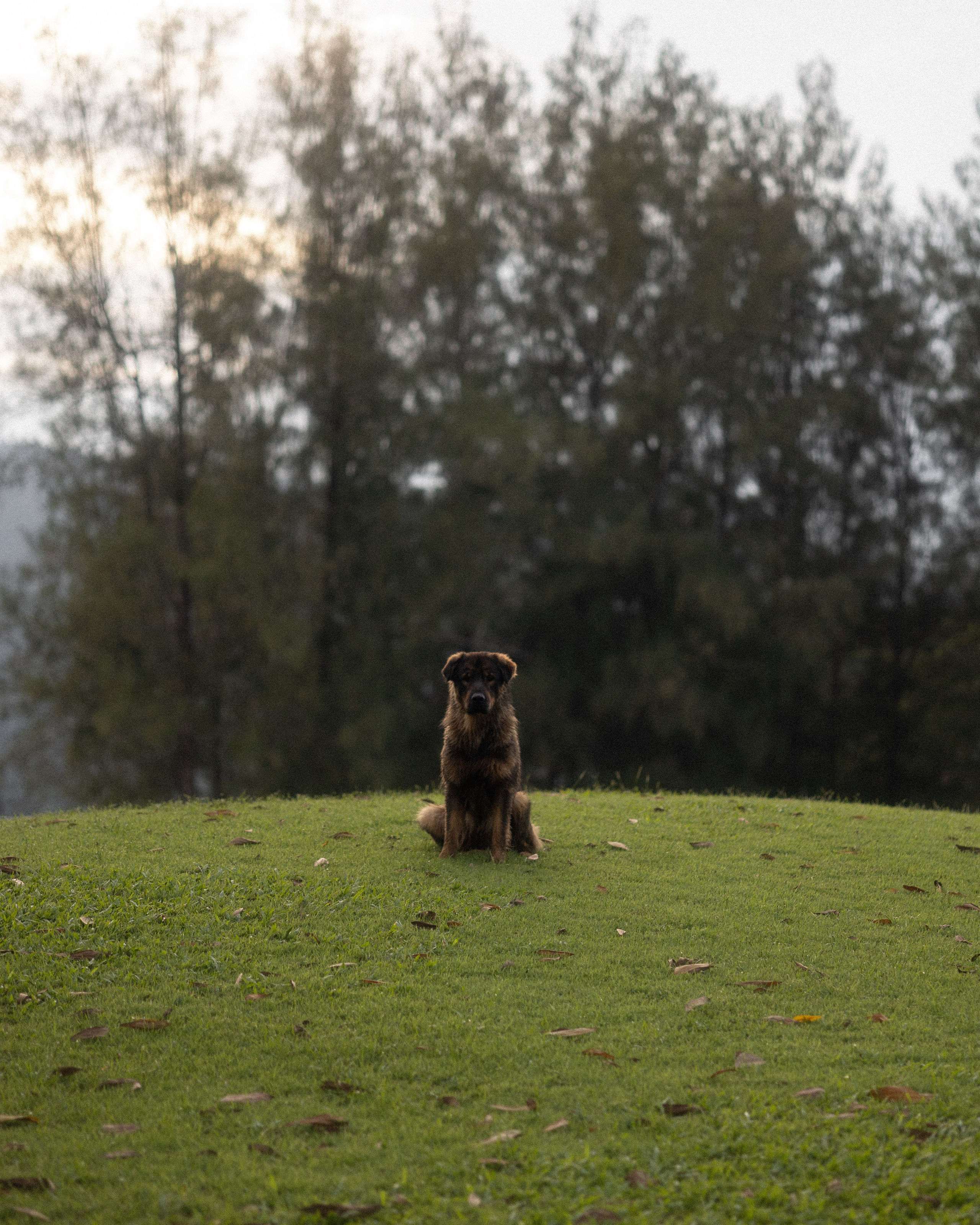 Anastasia. Maria Mishina Photographer Moscow, Phuket