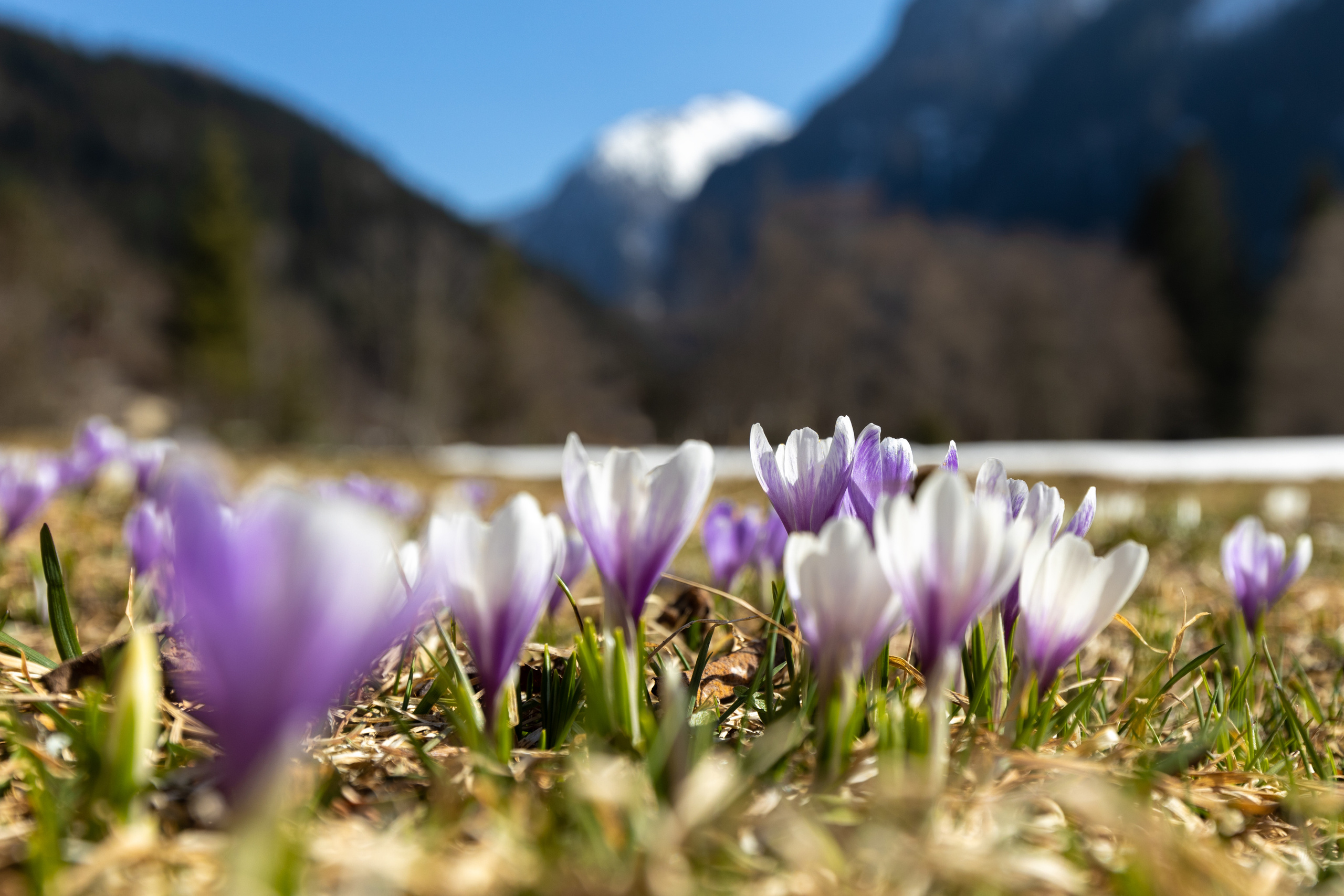 Bewunderung. Guzel Kolobova| Fotografin| Salzburg